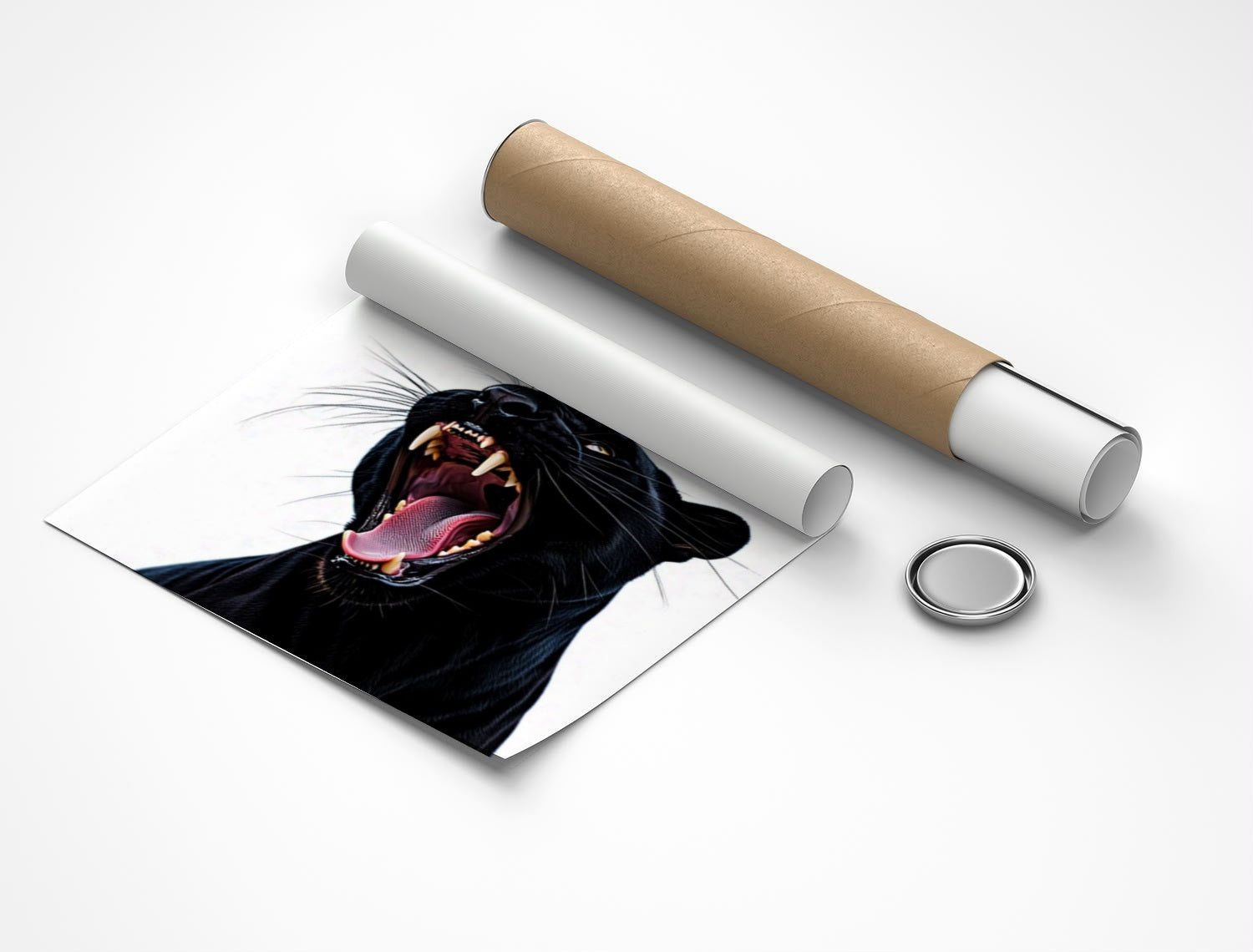 Rolled poster
