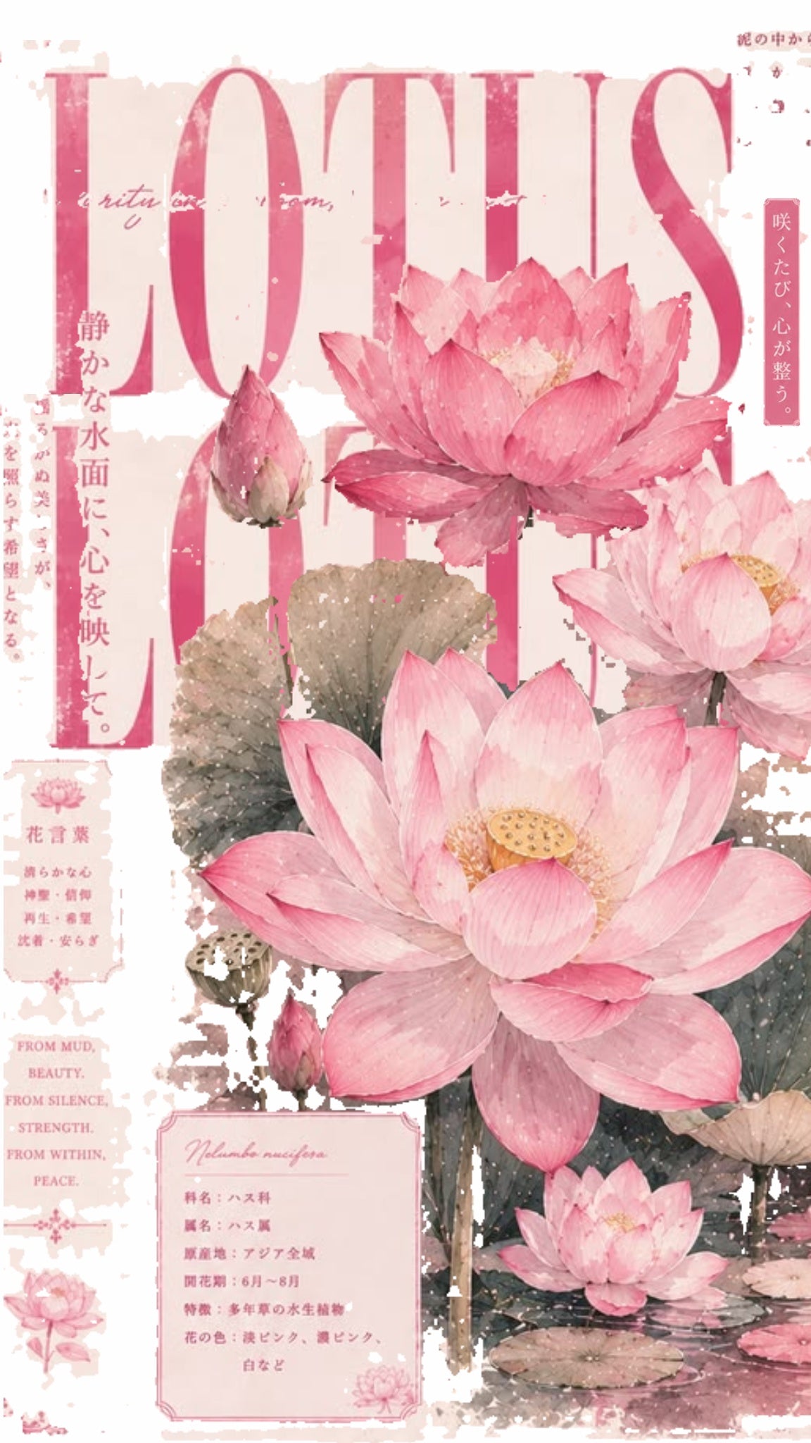 Original artwork