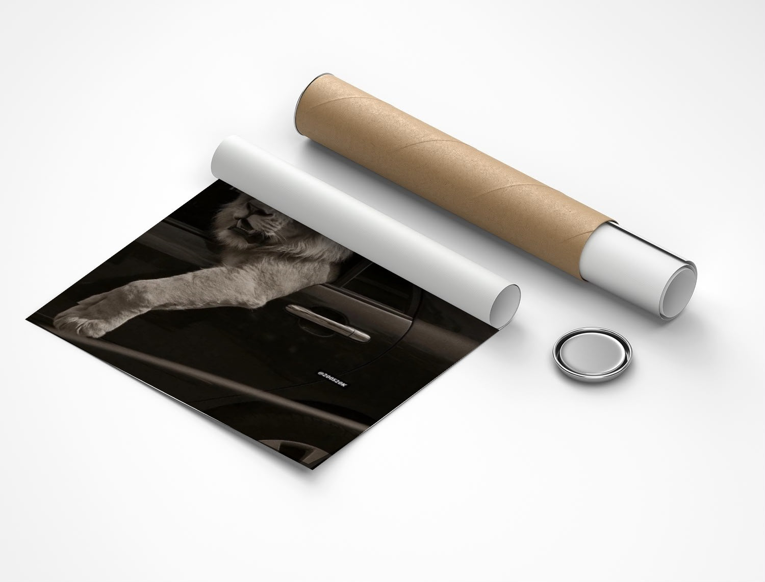 Rolled poster