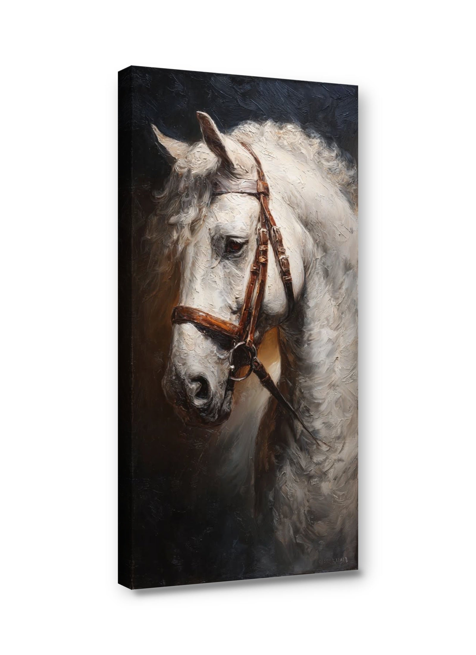 Framed canvas