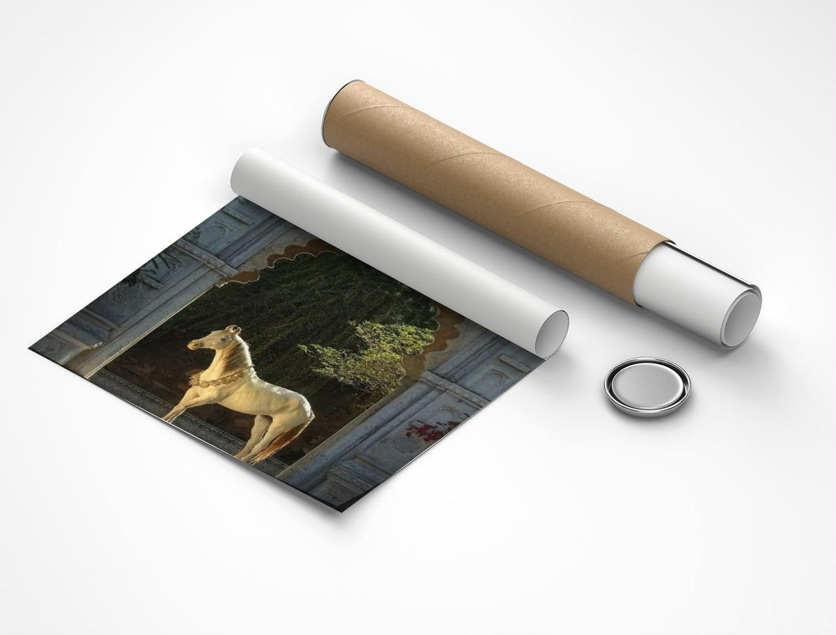 Rolled poster