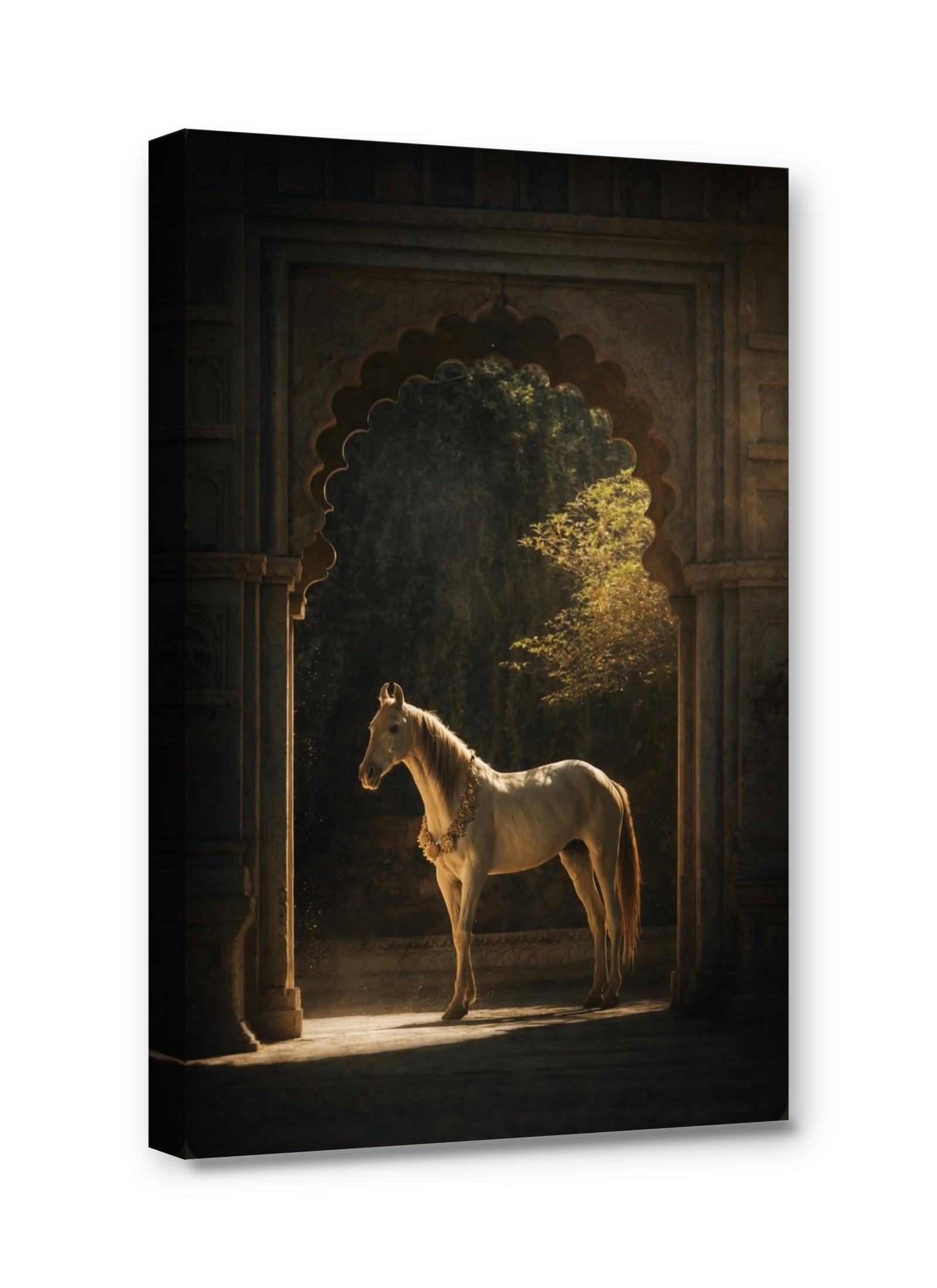 Framed canvas
