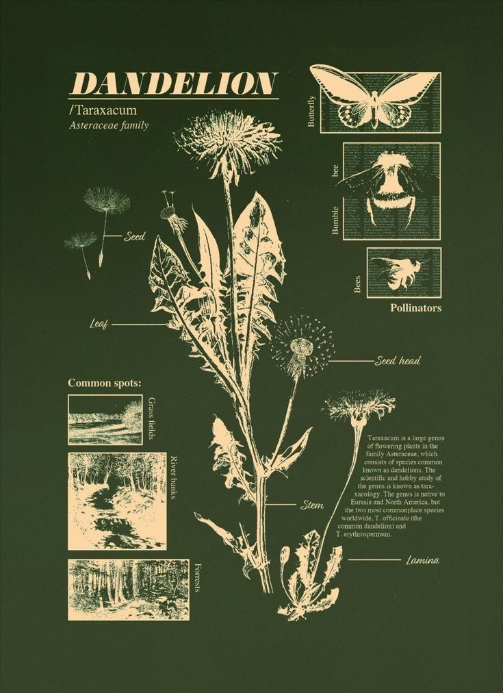 Original artwork