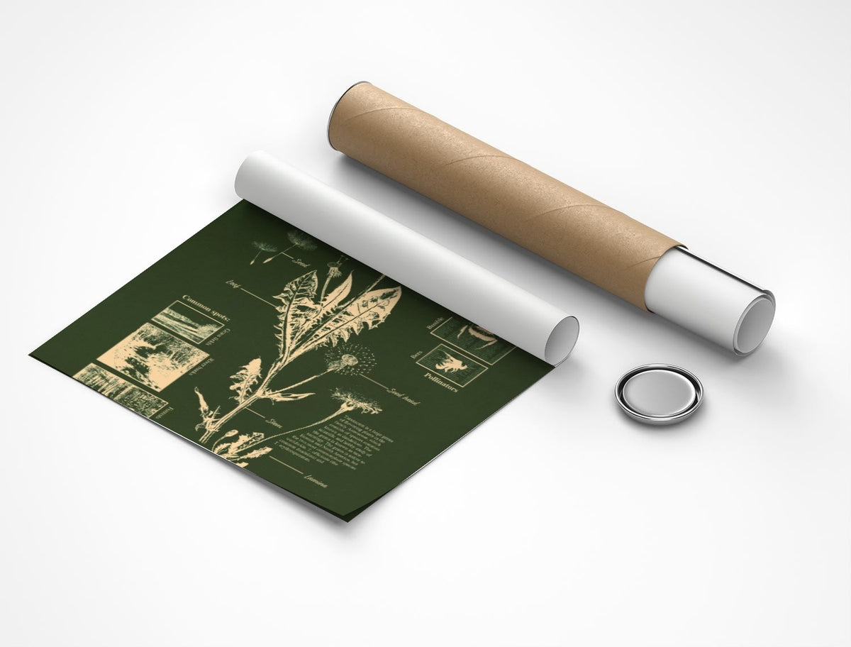 Rolled poster