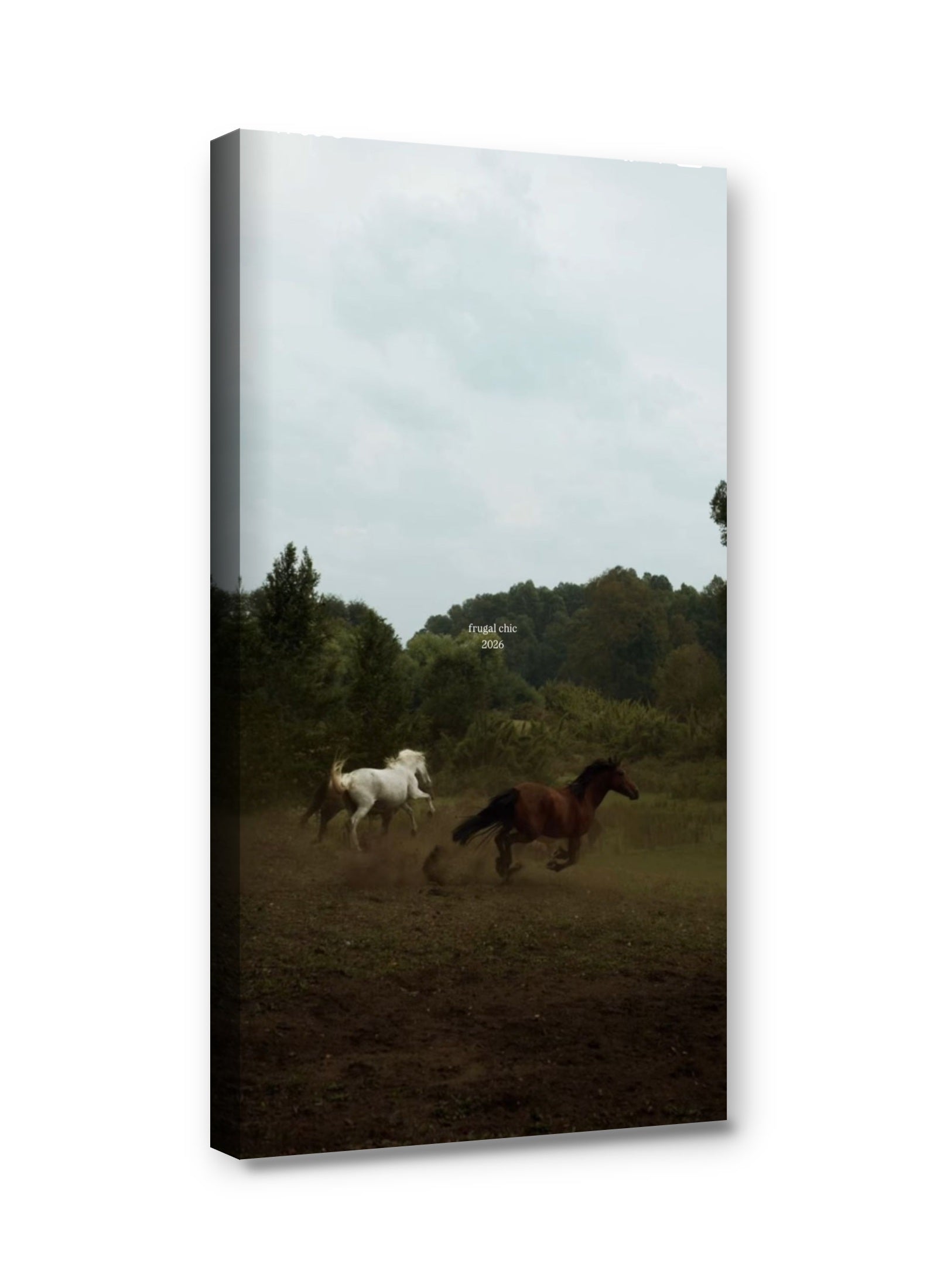 Framed canvas