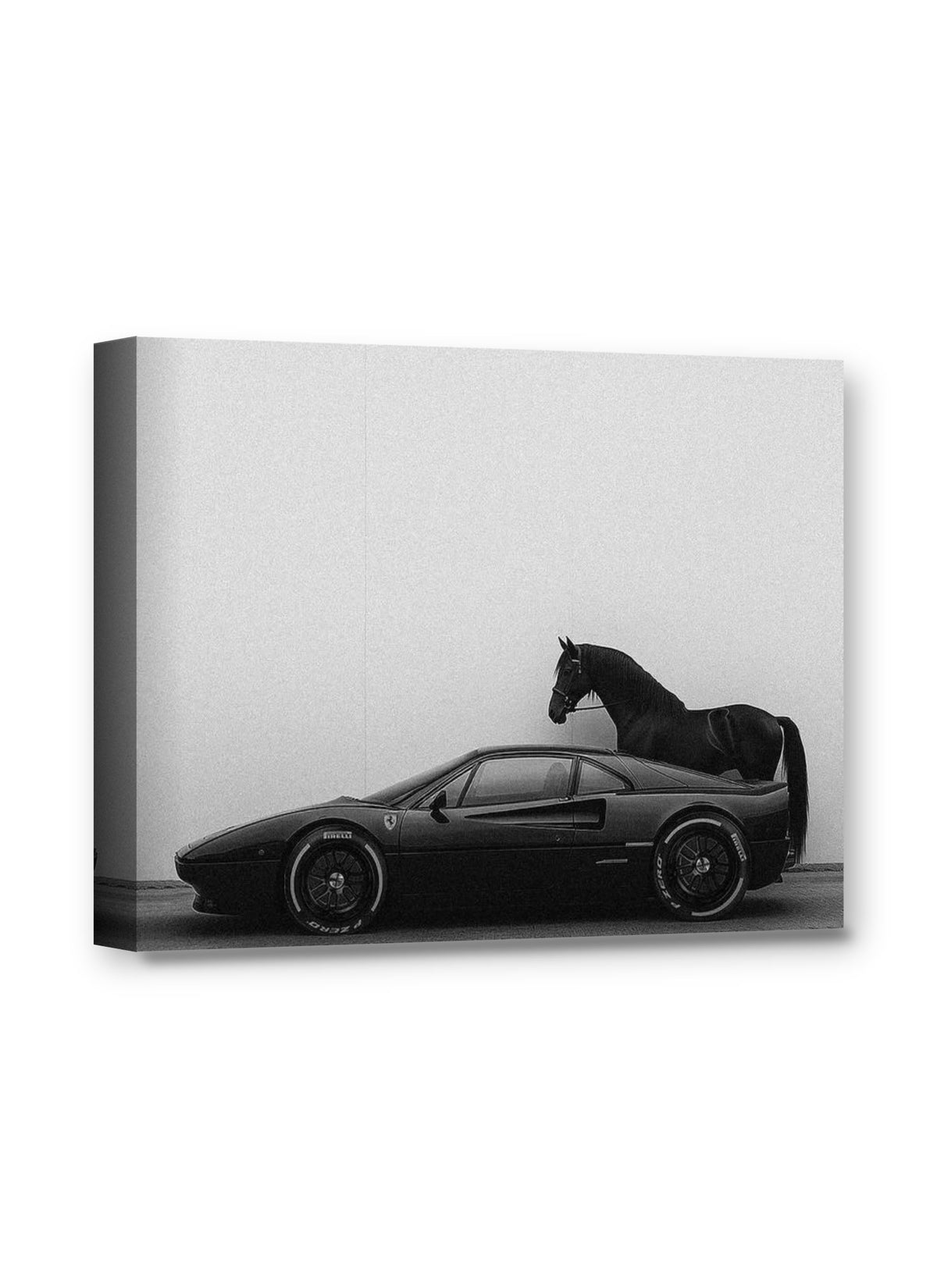Framed canvas