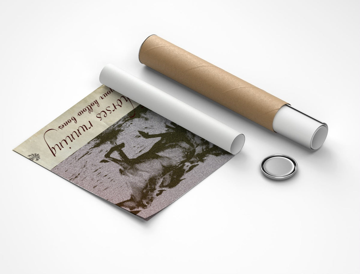 Rolled poster