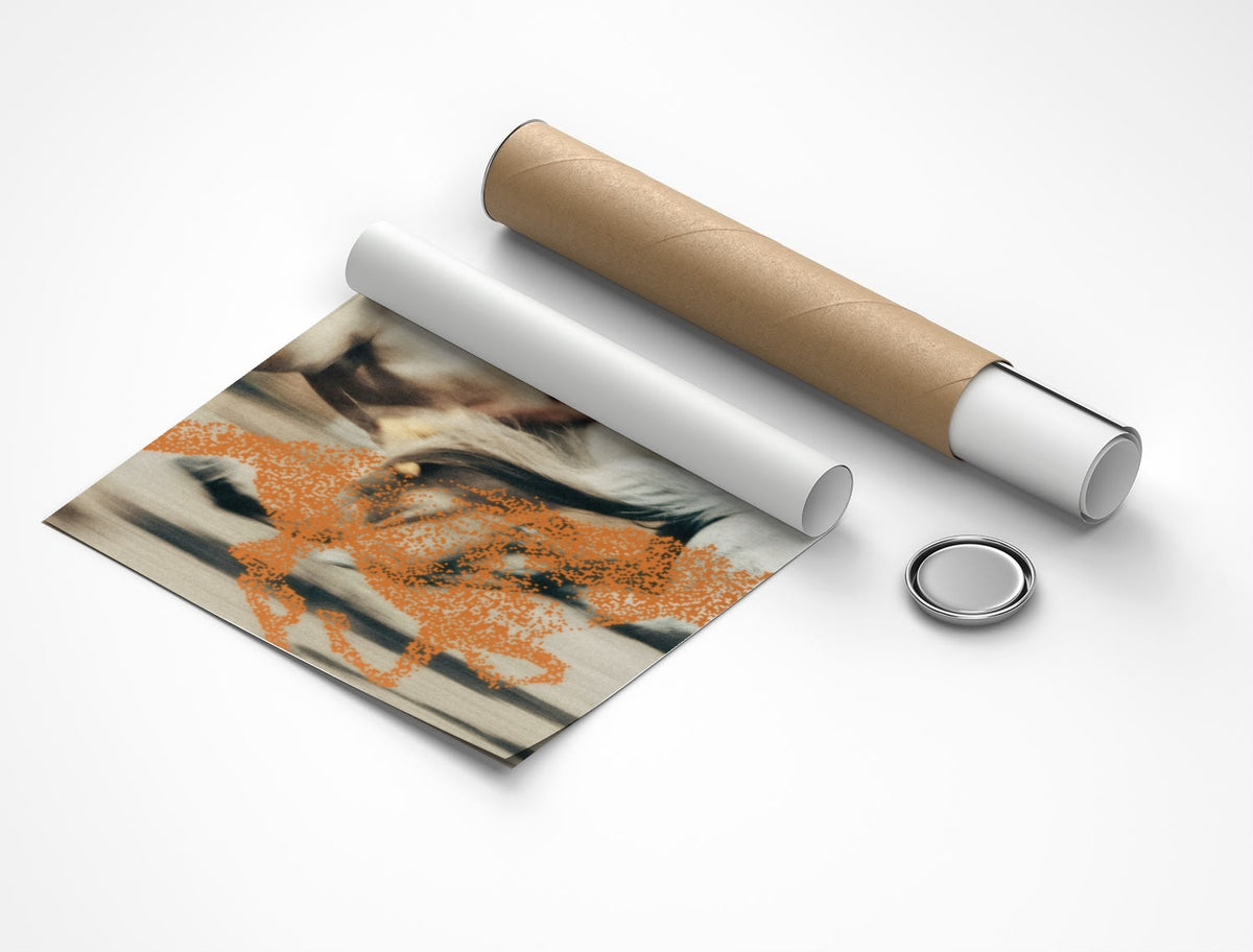Rolled poster