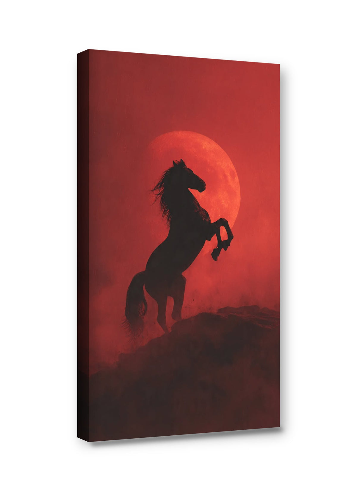 Framed canvas