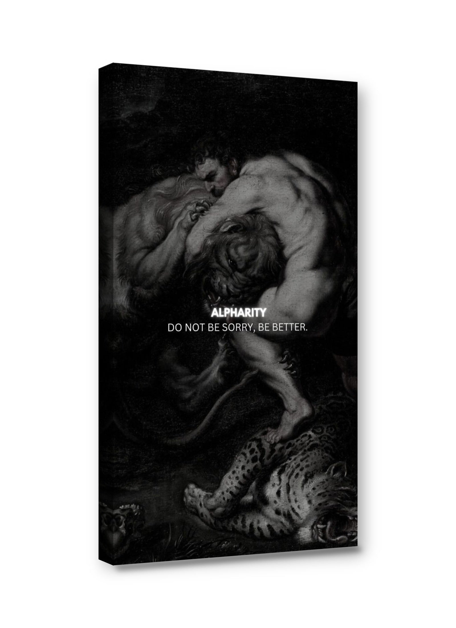 Framed canvas