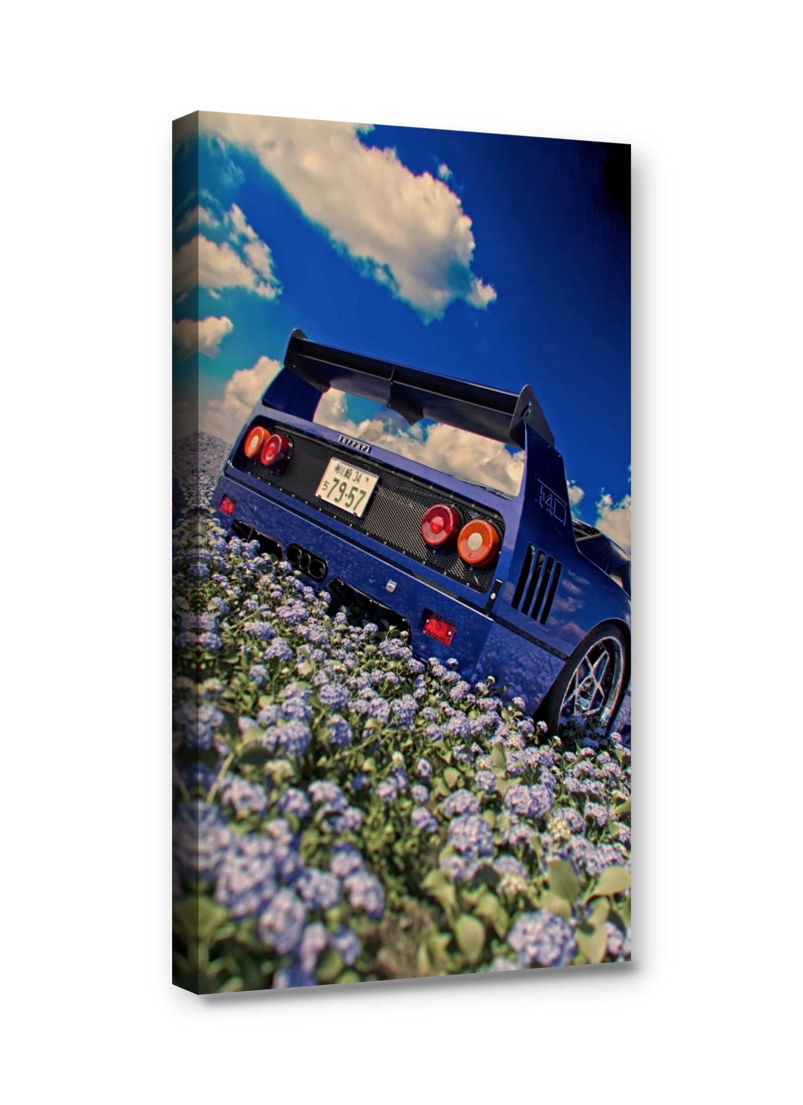 Framed canvas
