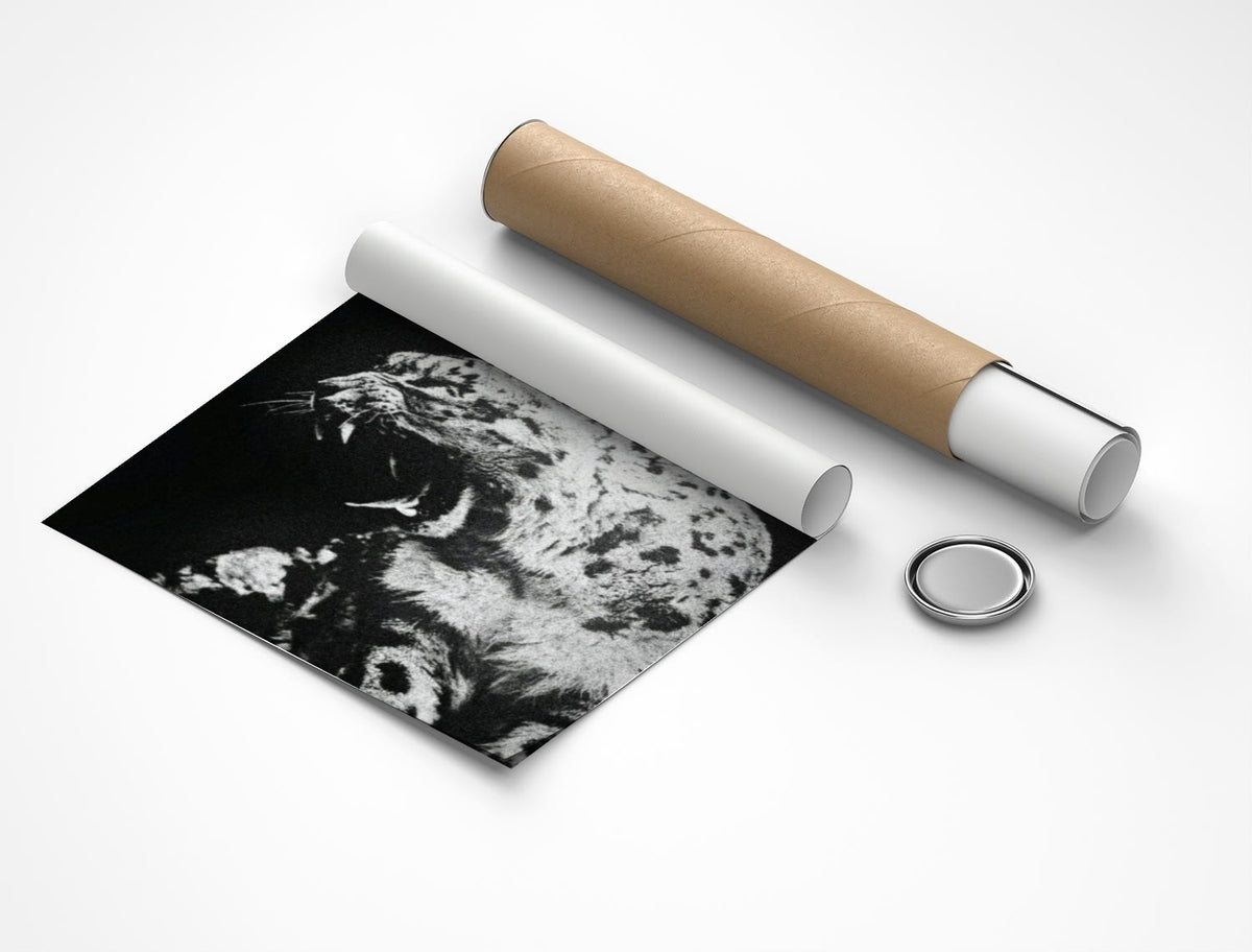 Rolled poster