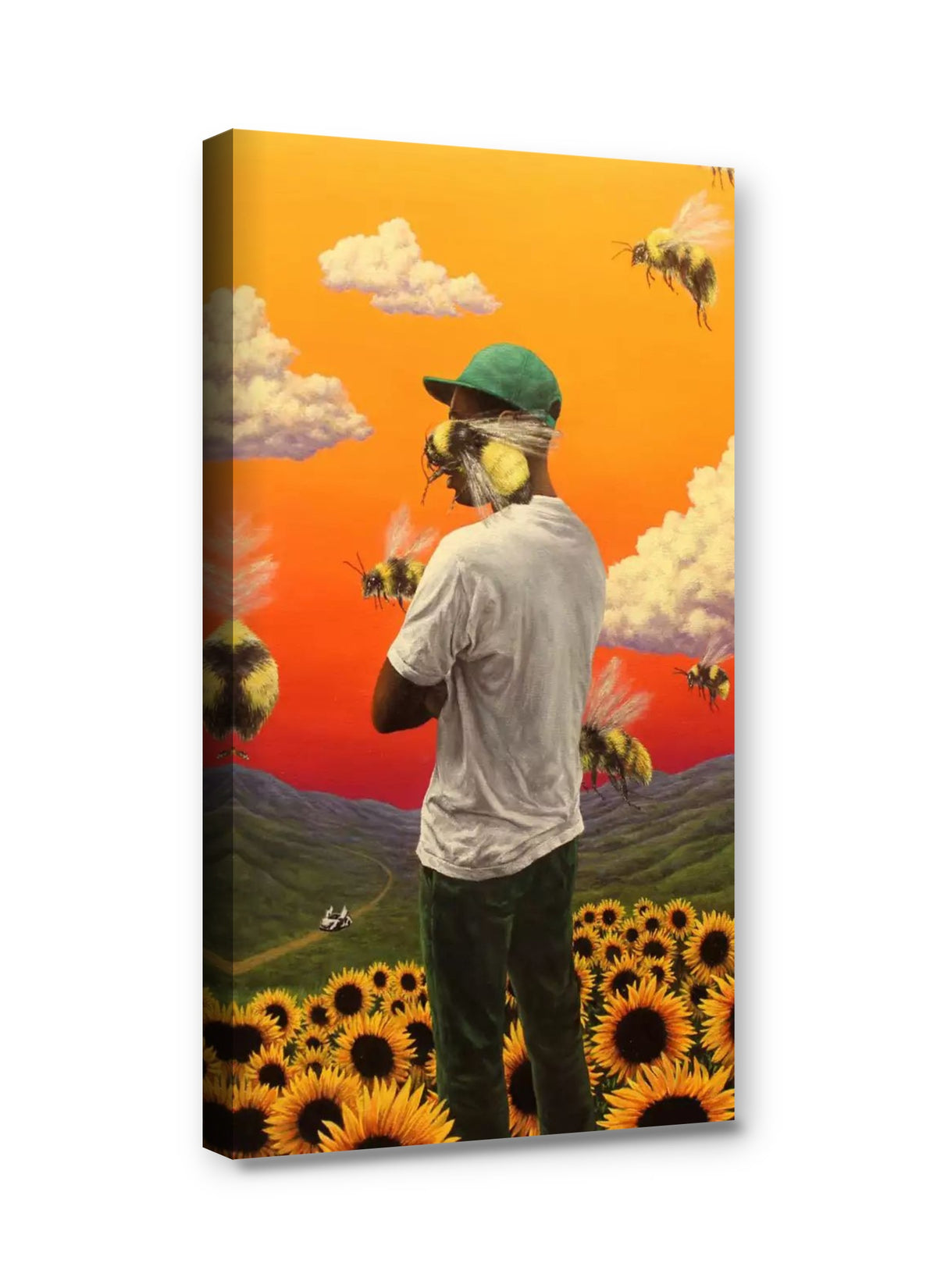 Framed canvas