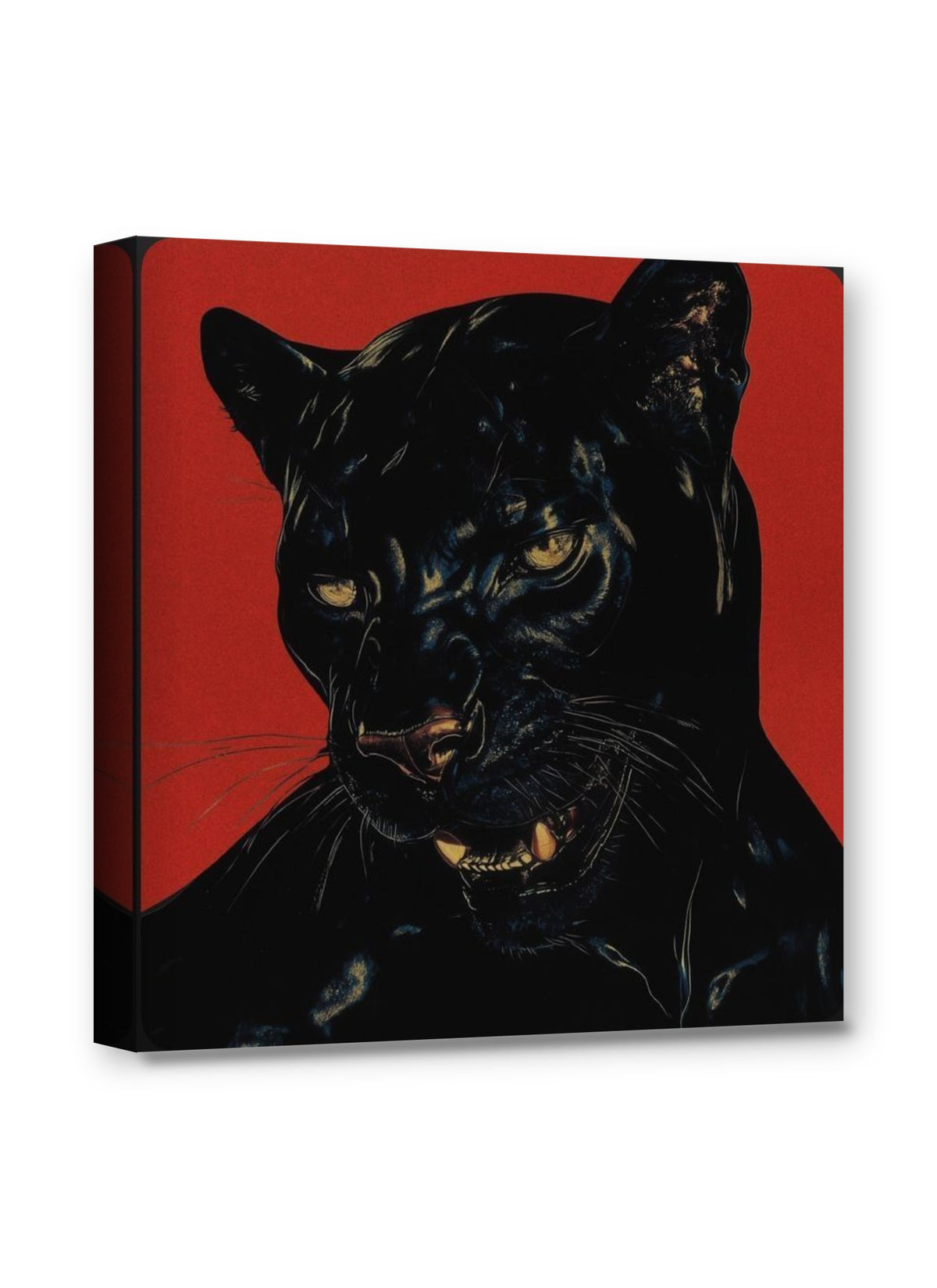 Framed canvas