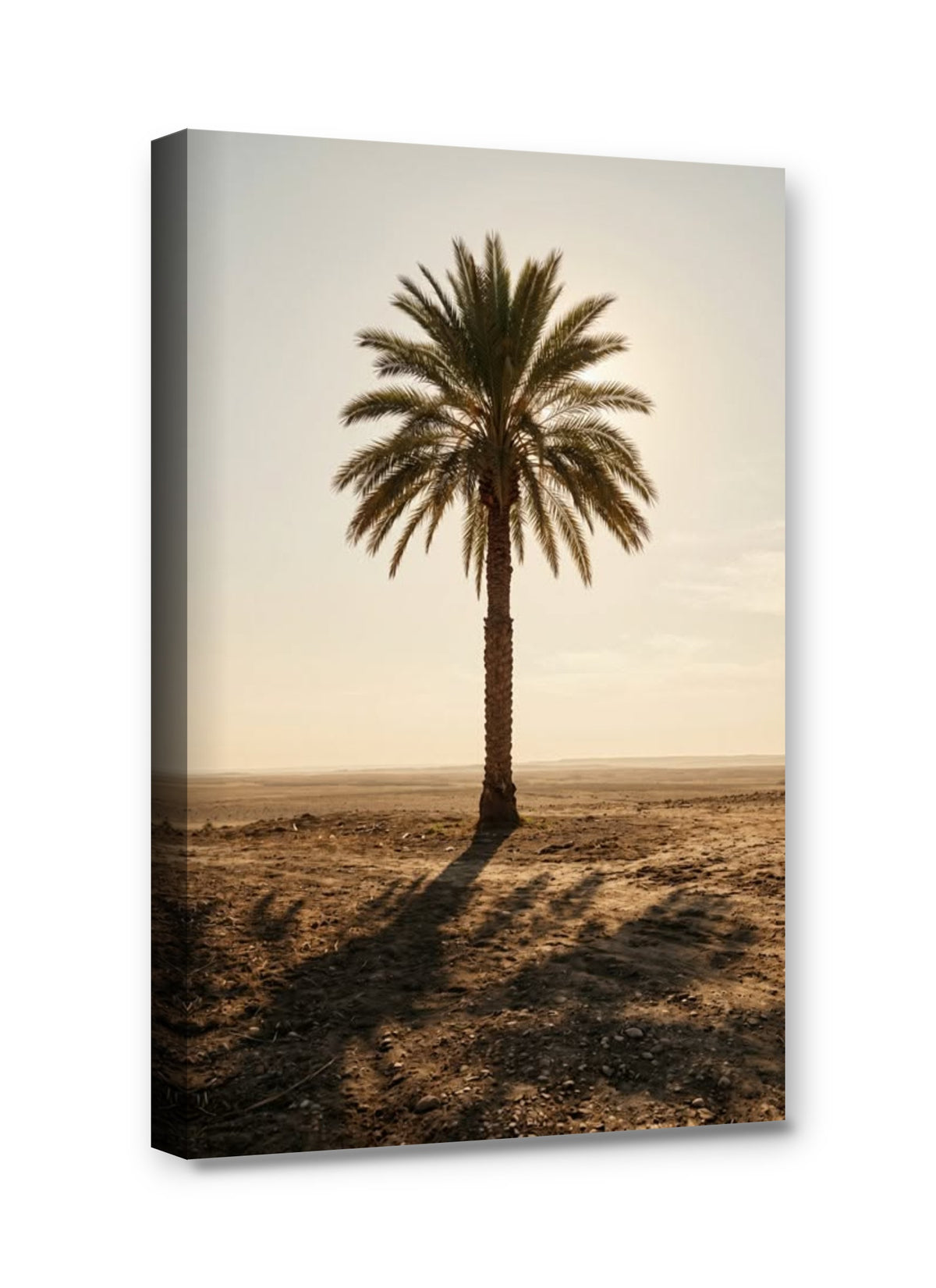 Framed canvas