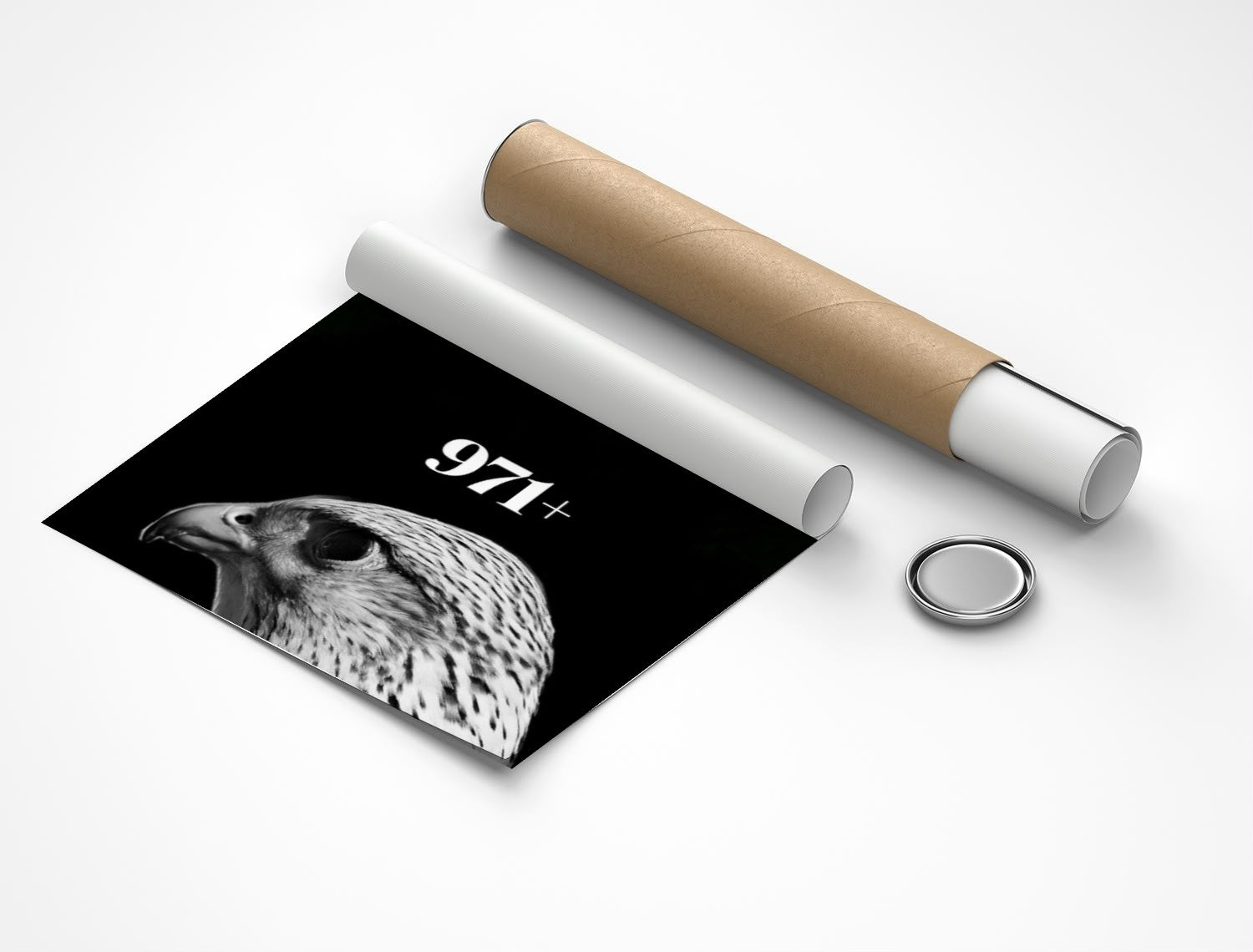 Rolled poster
