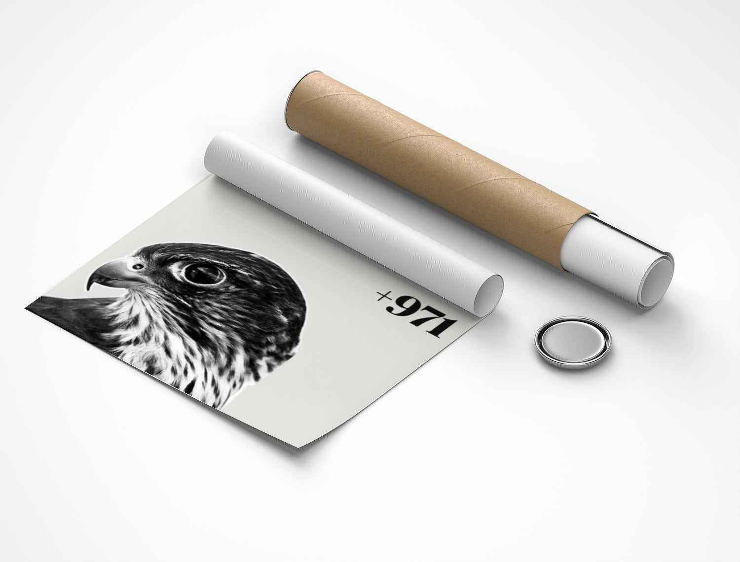 Rolled poster