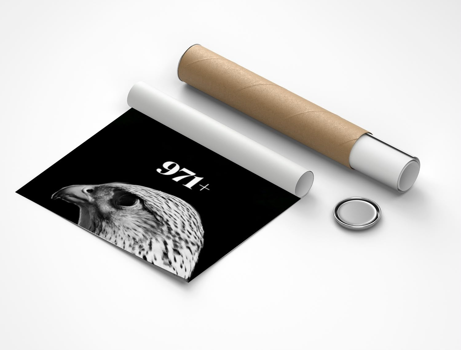 Rolled poster