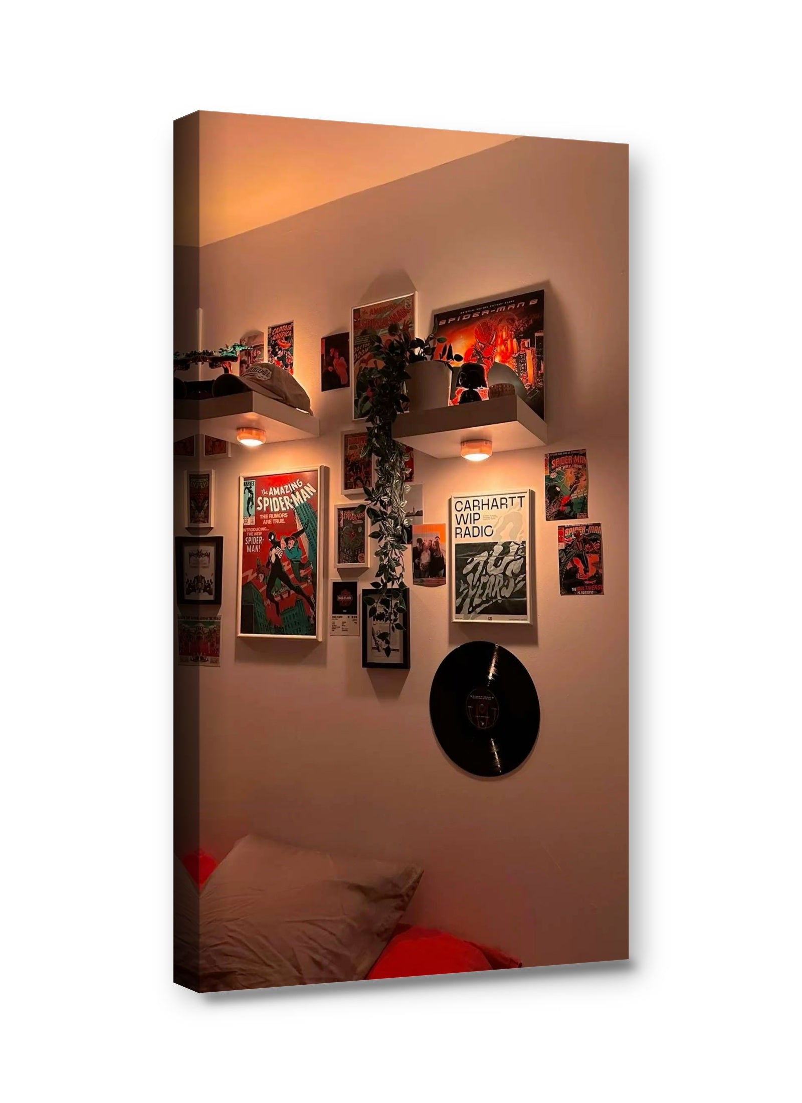 Framed canvas