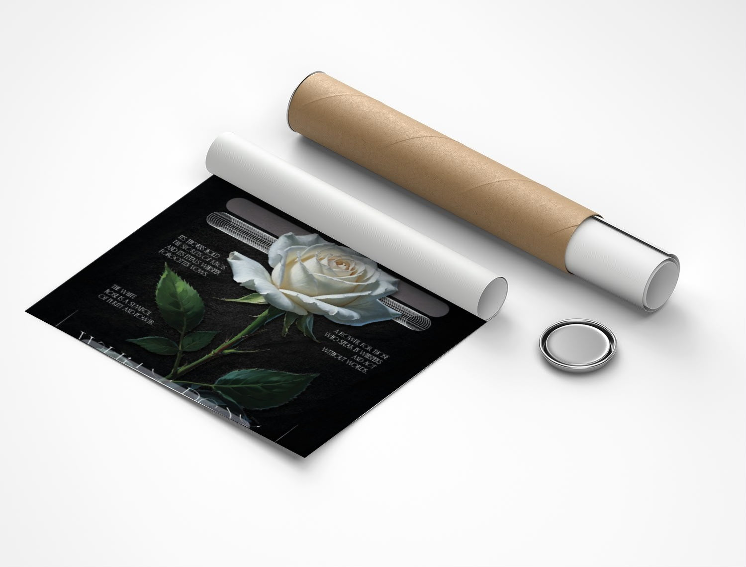 Rolled poster