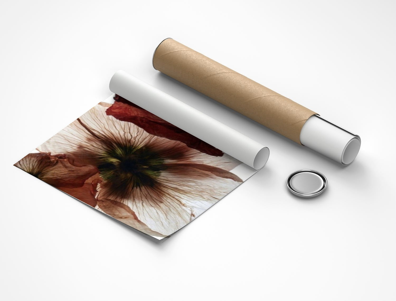 Rolled poster