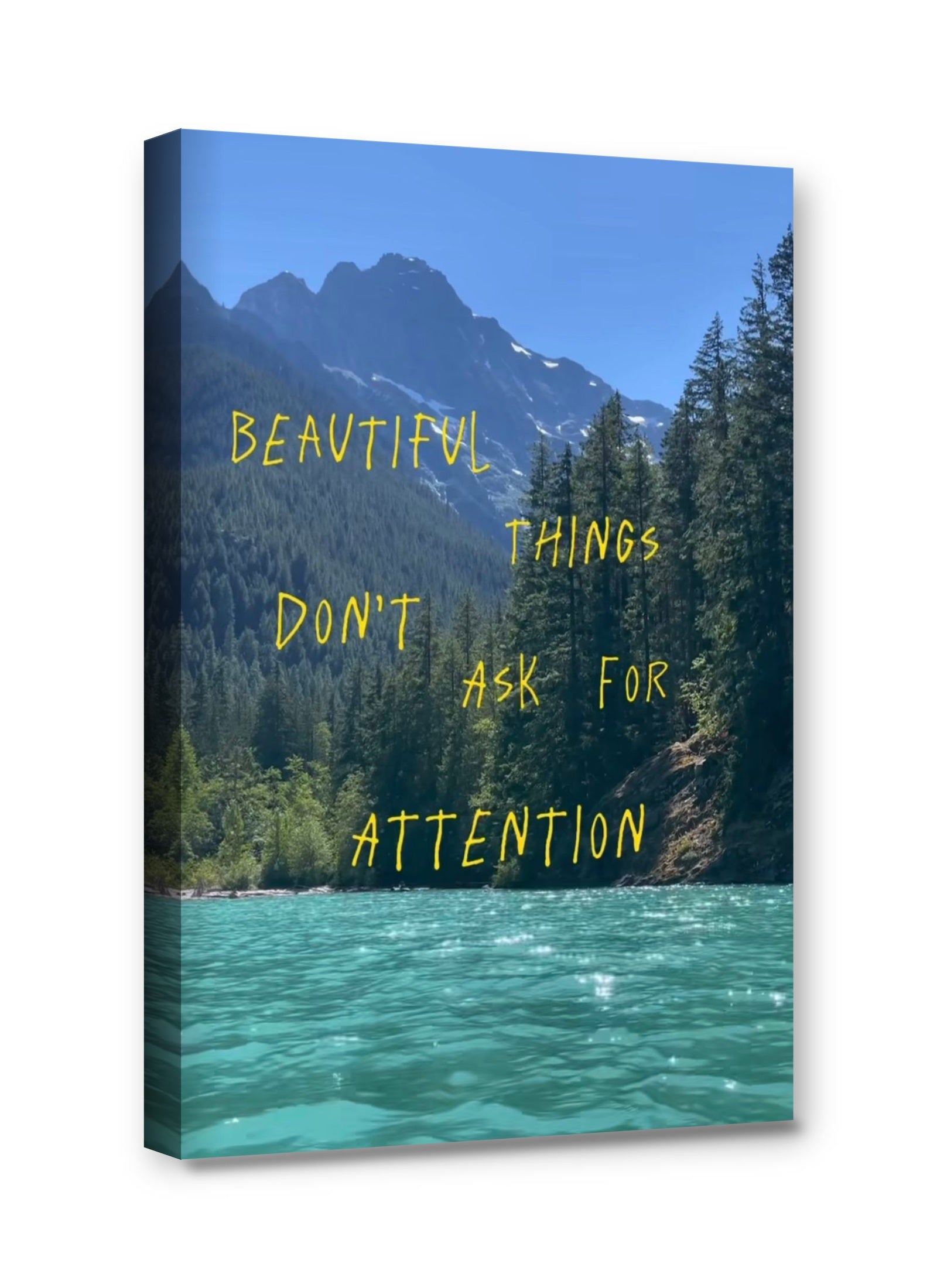 Framed canvas