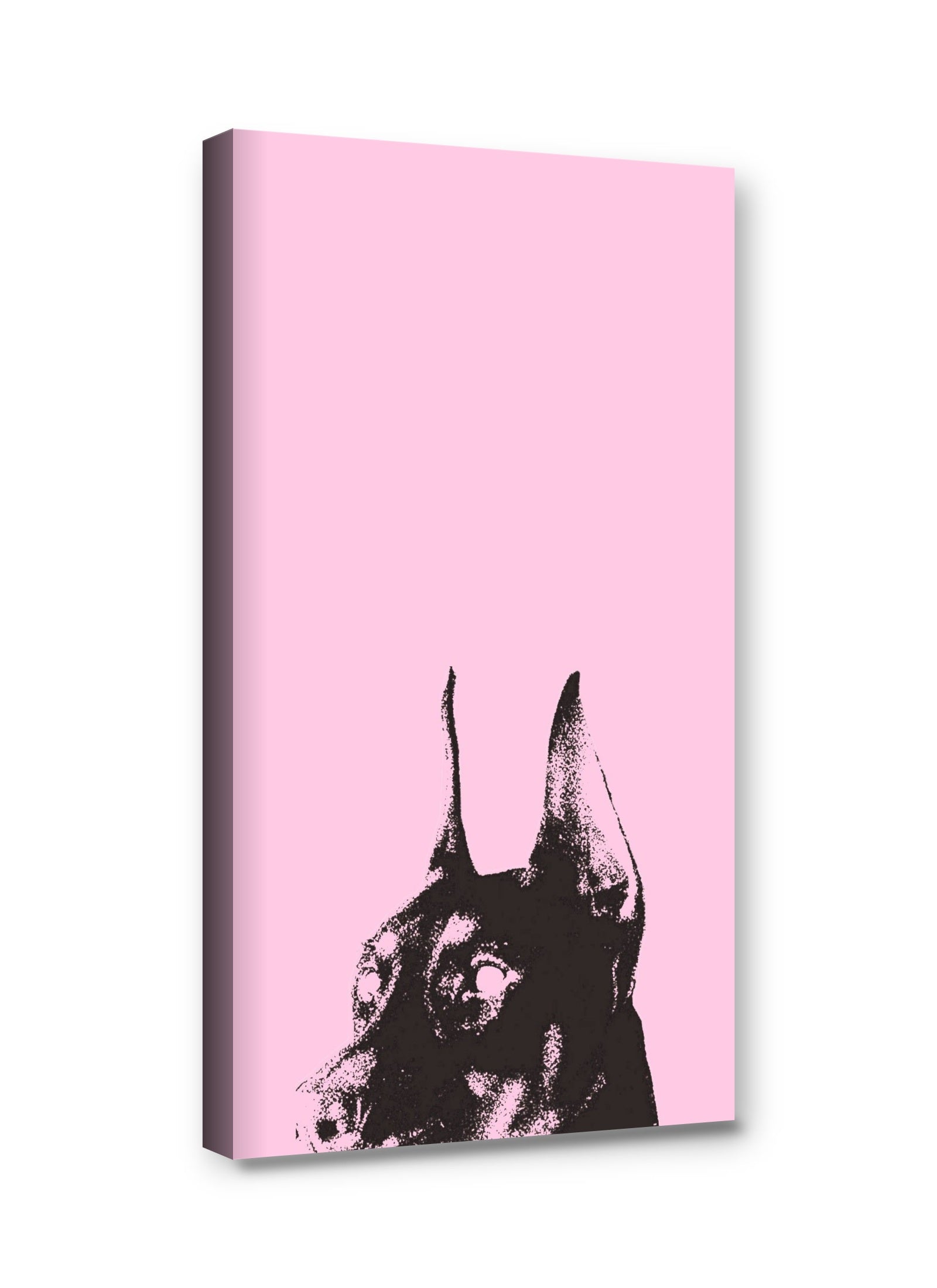 Framed canvas