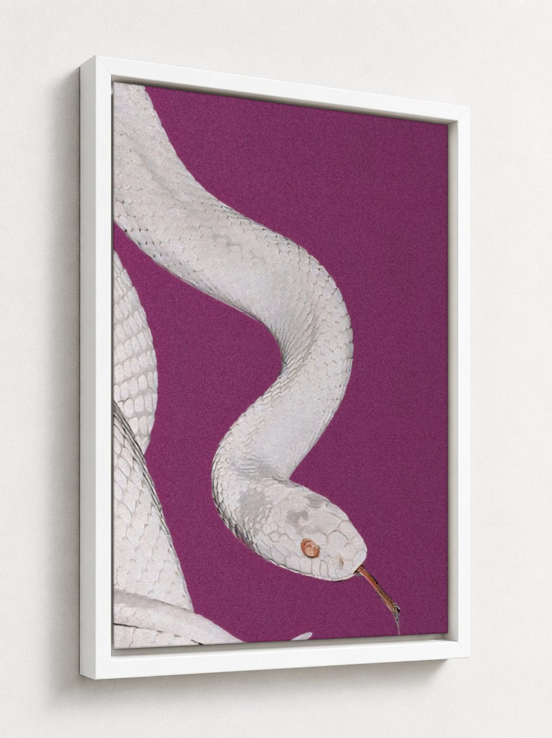 White floater