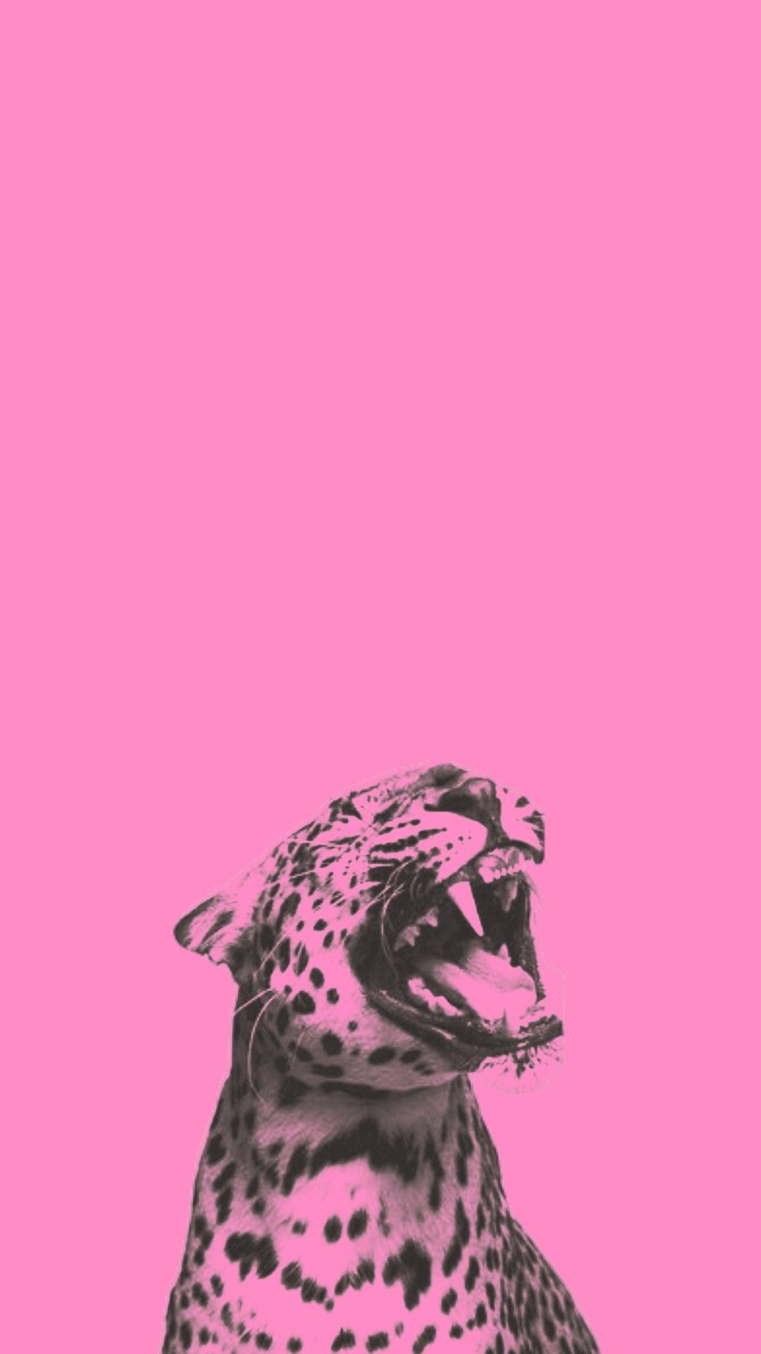 Original artwork