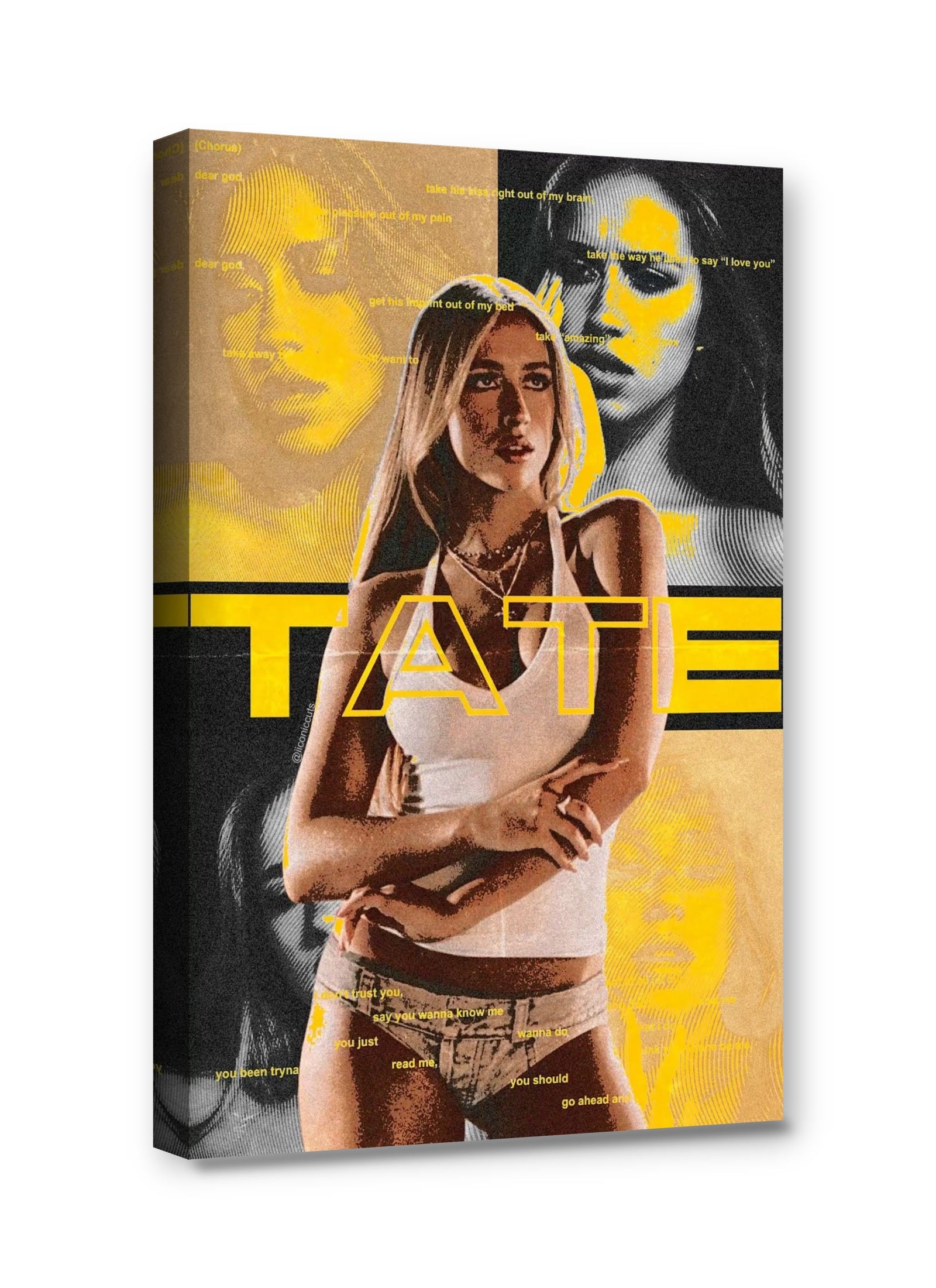 Framed canvas
