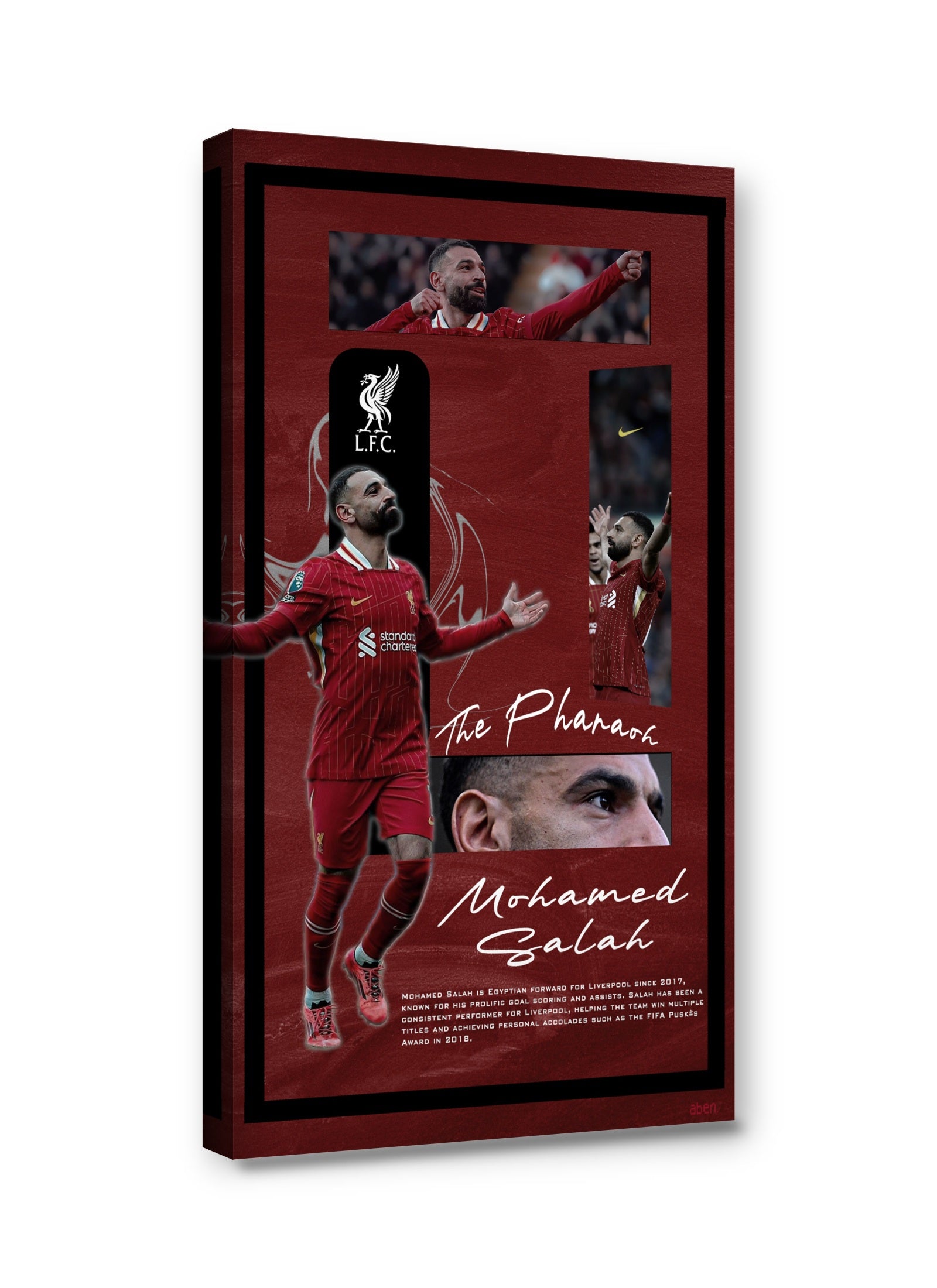 Framed canvas