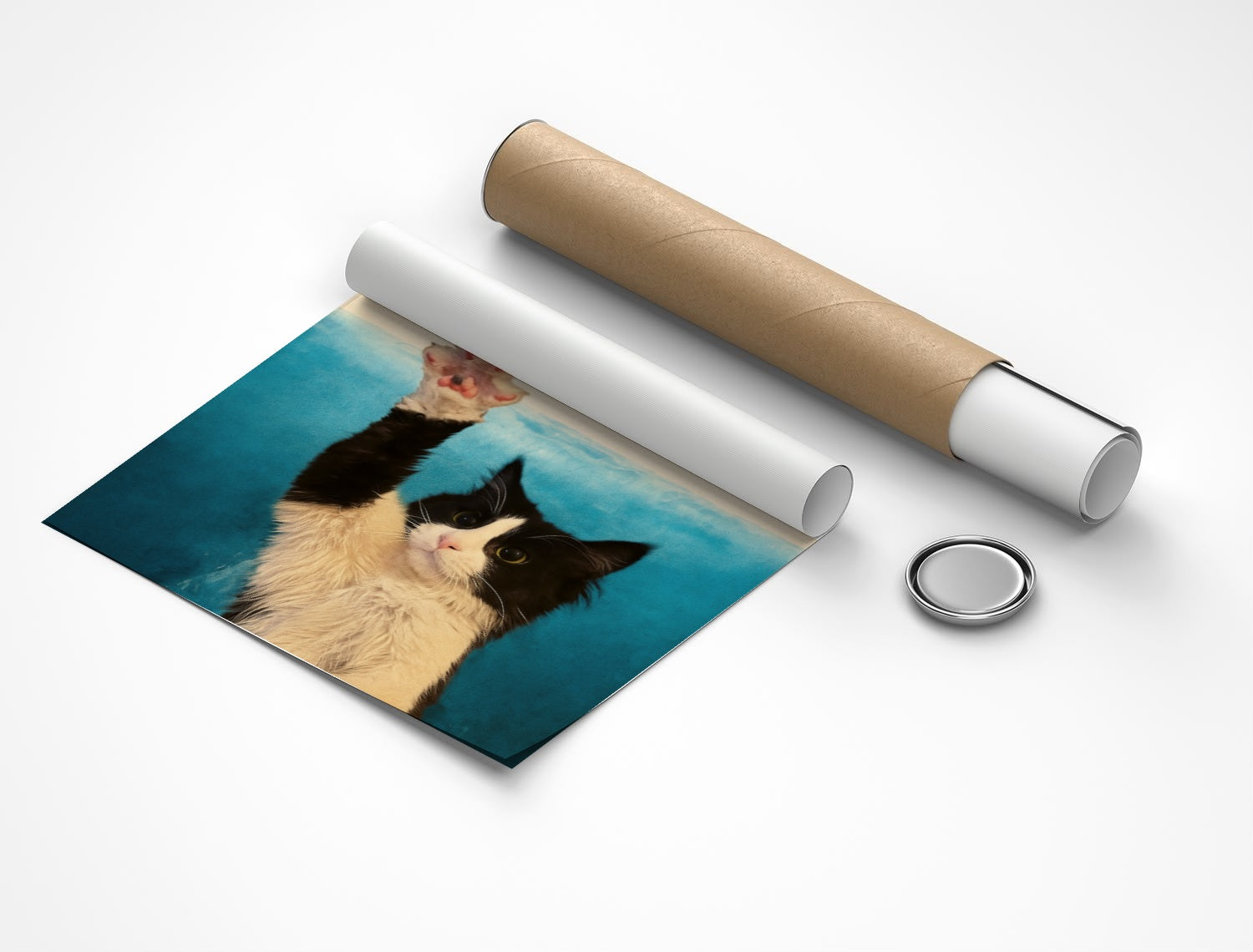 Rolled poster