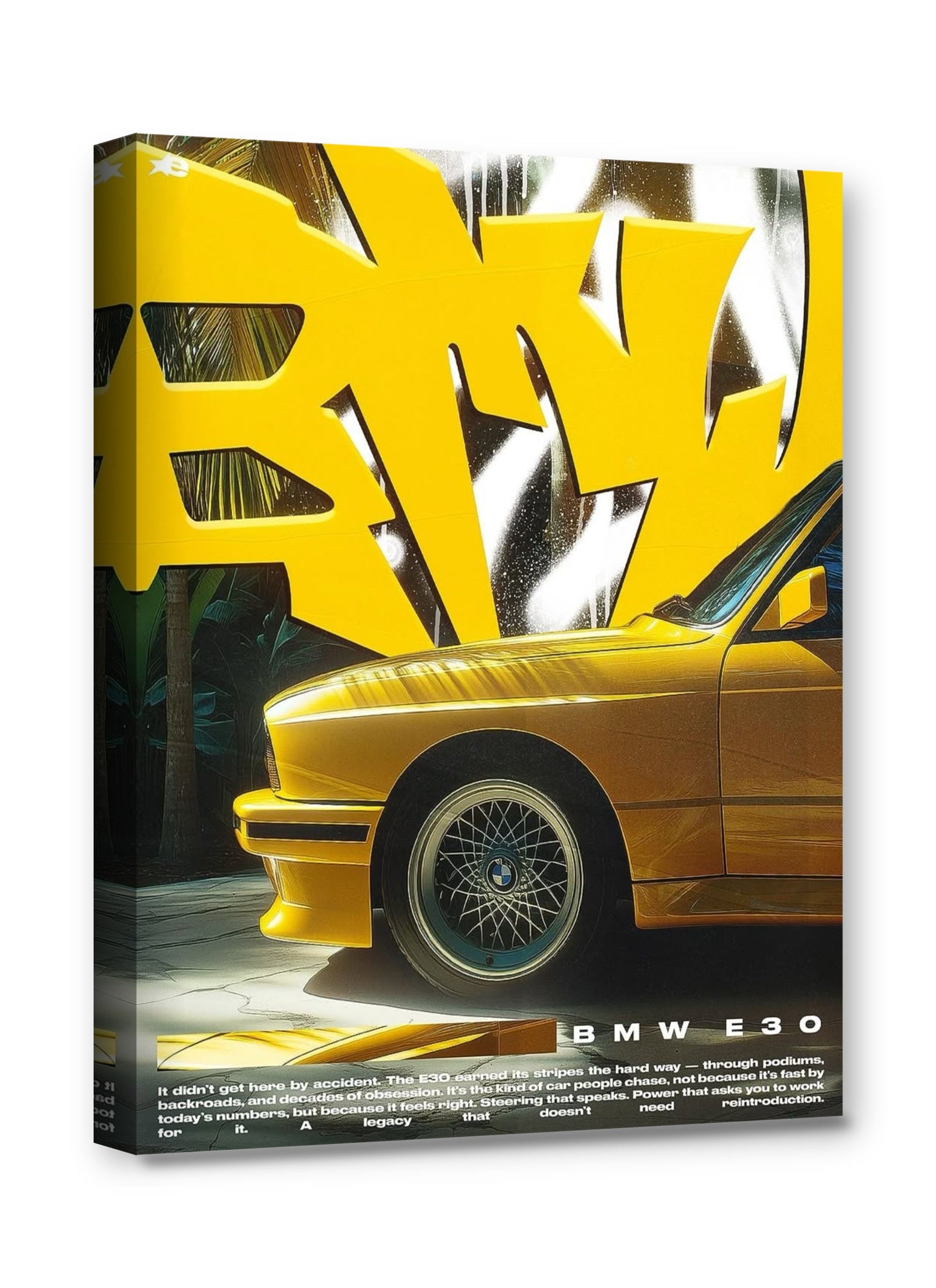 Framed canvas