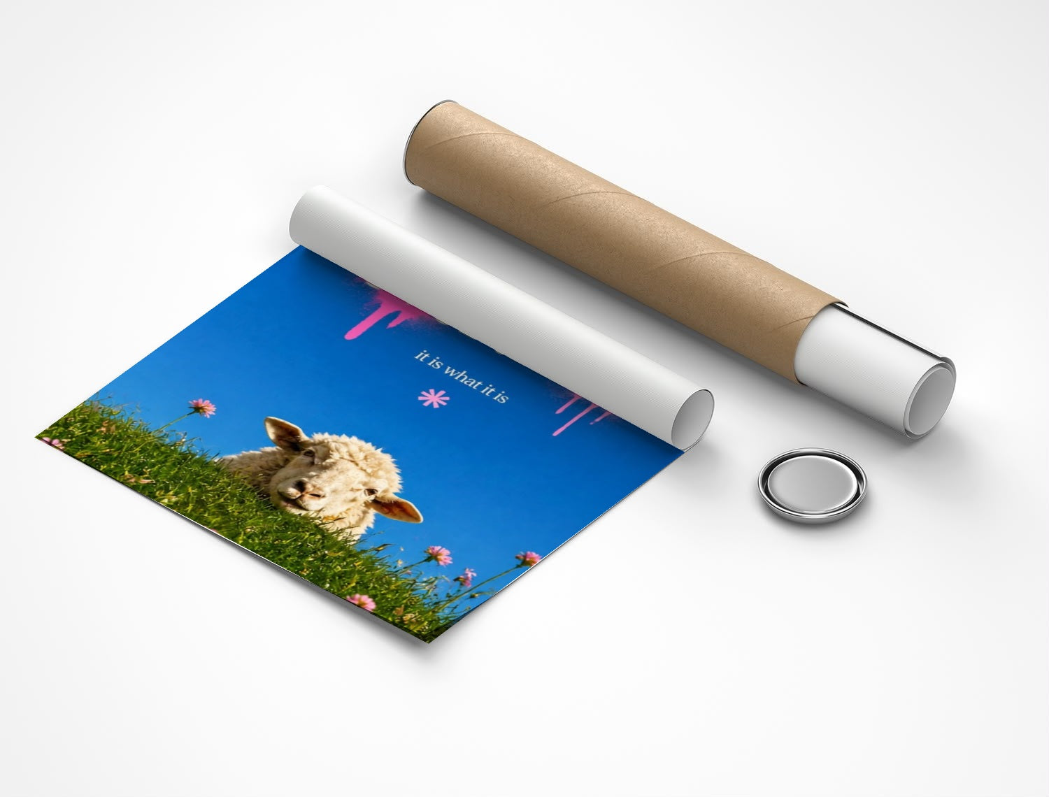 Rolled poster