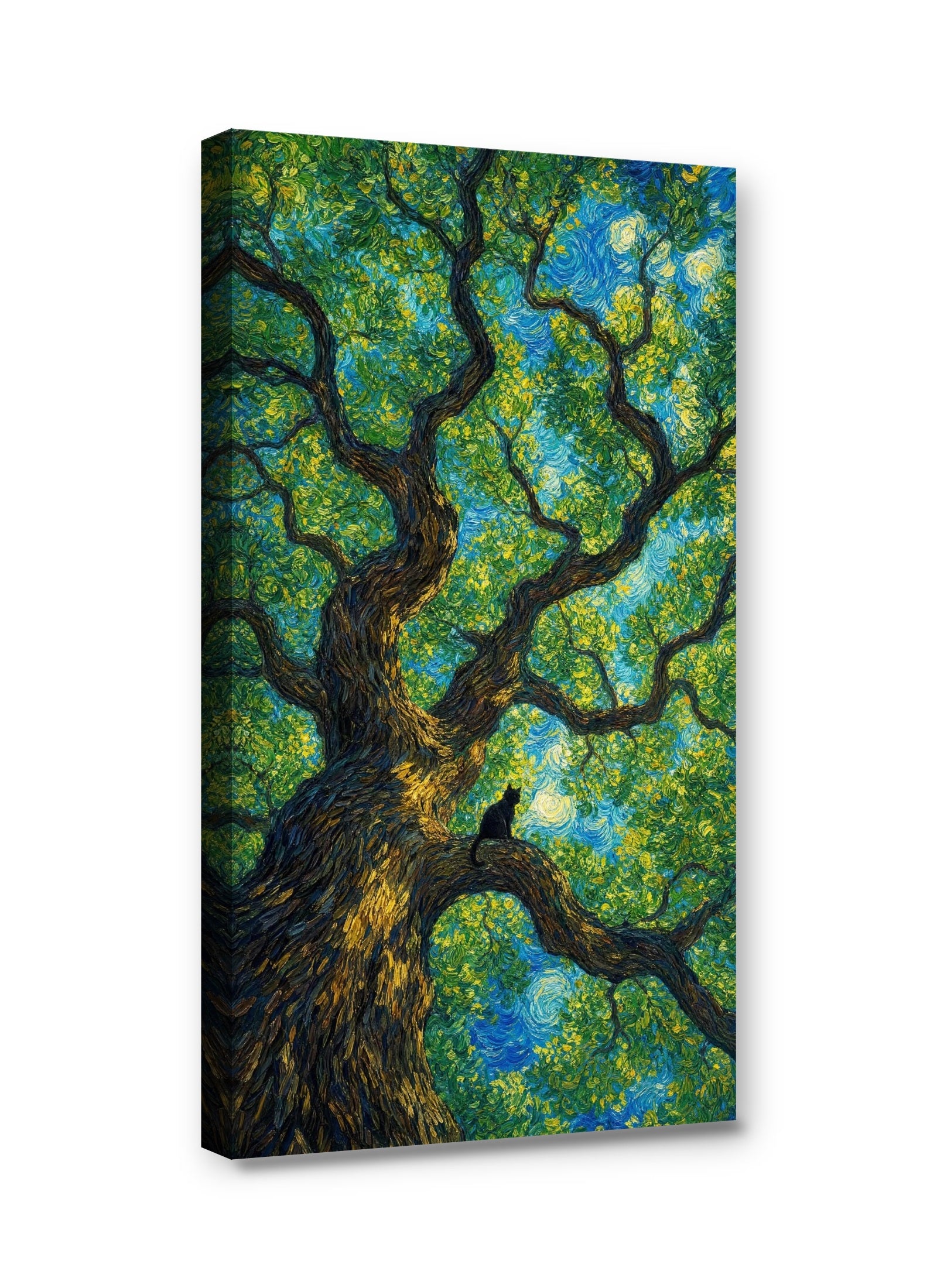 Framed canvas