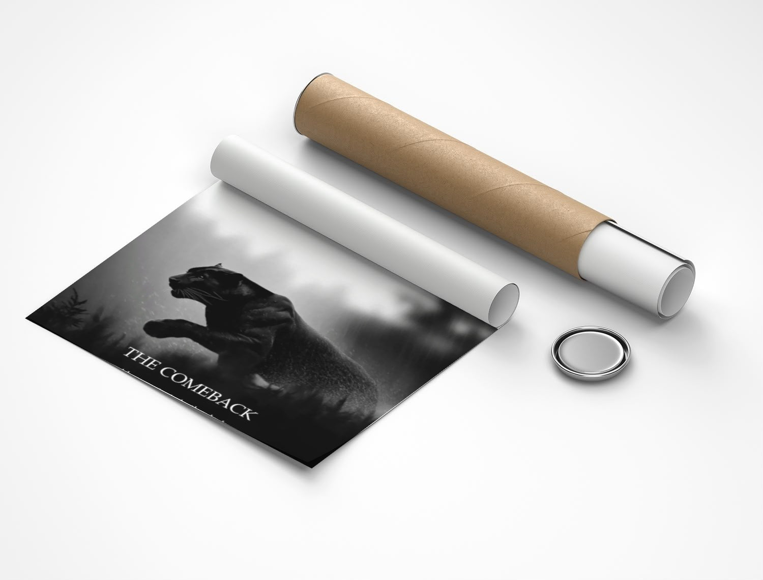 Rolled poster