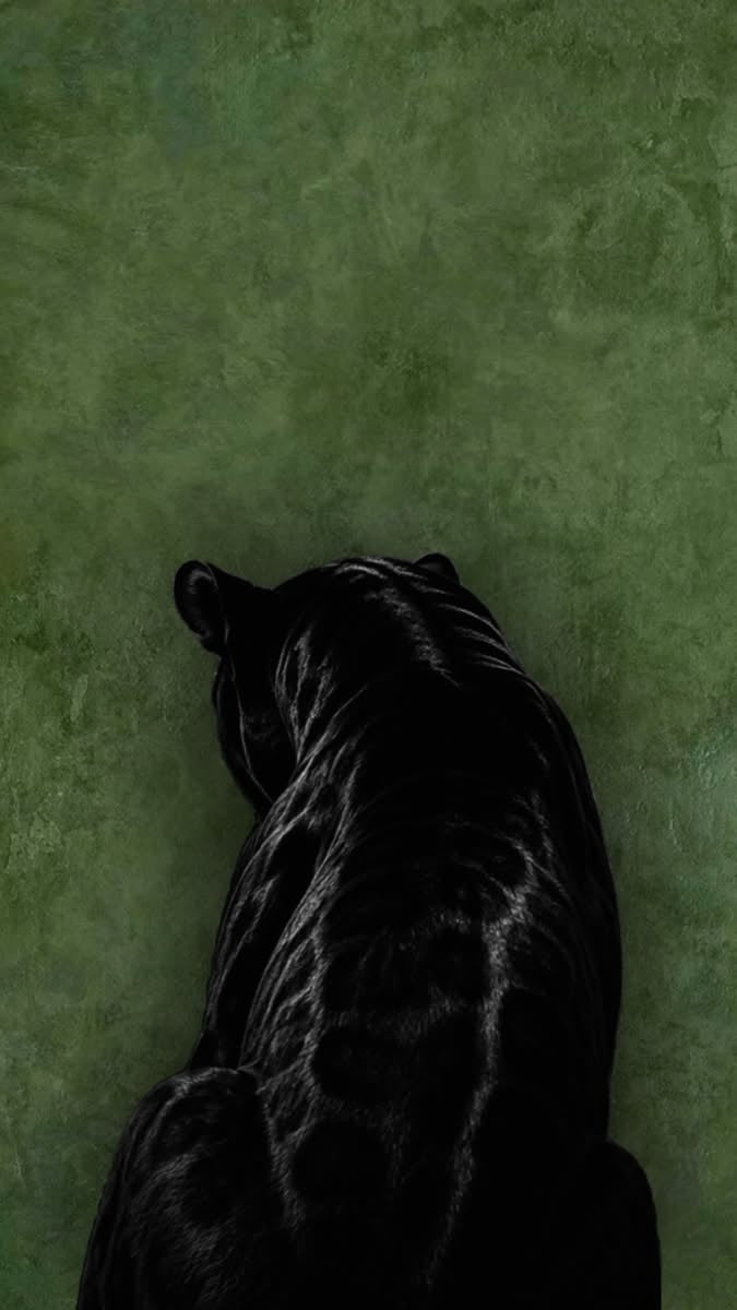 Original artwork