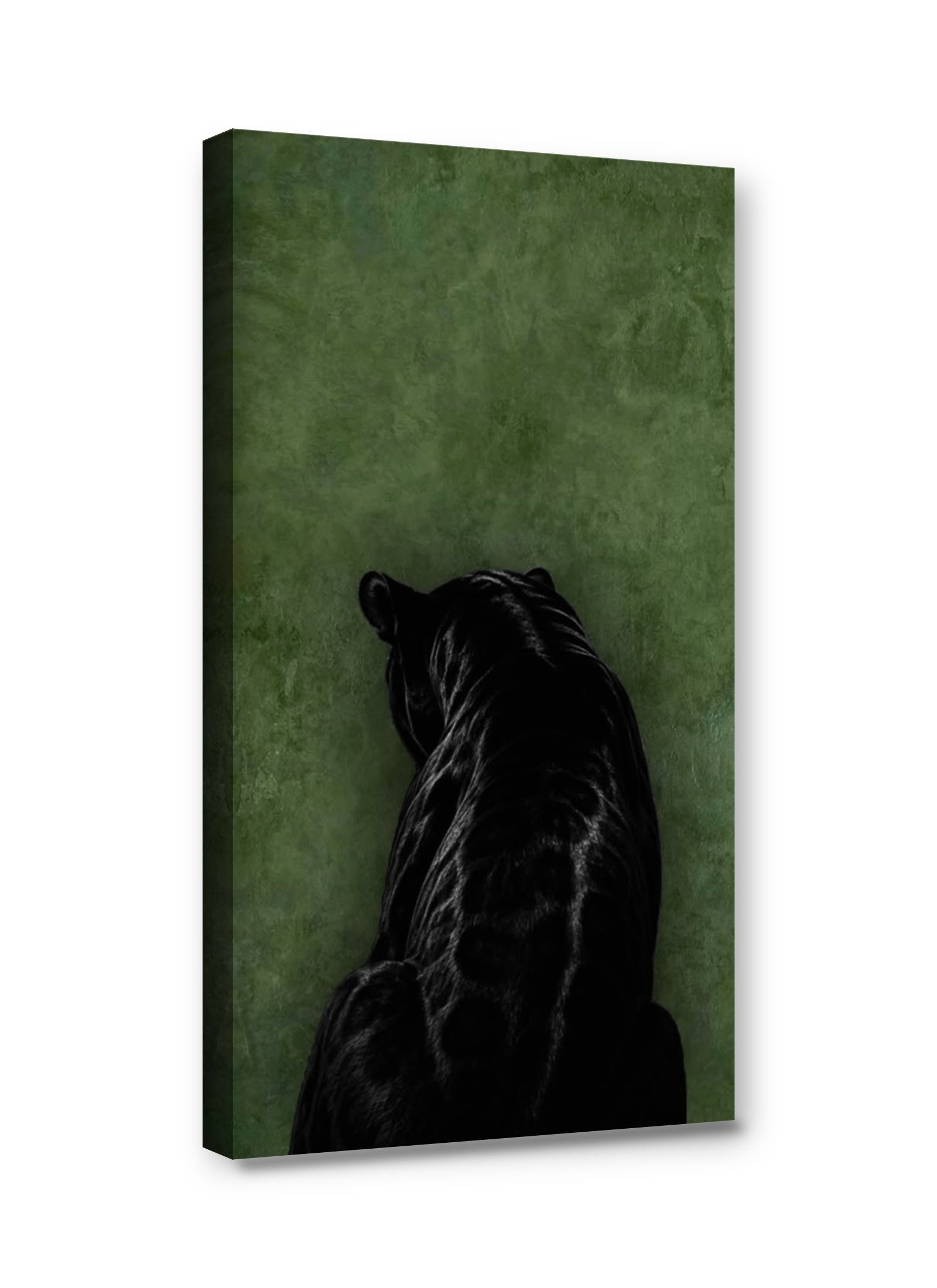 Framed canvas