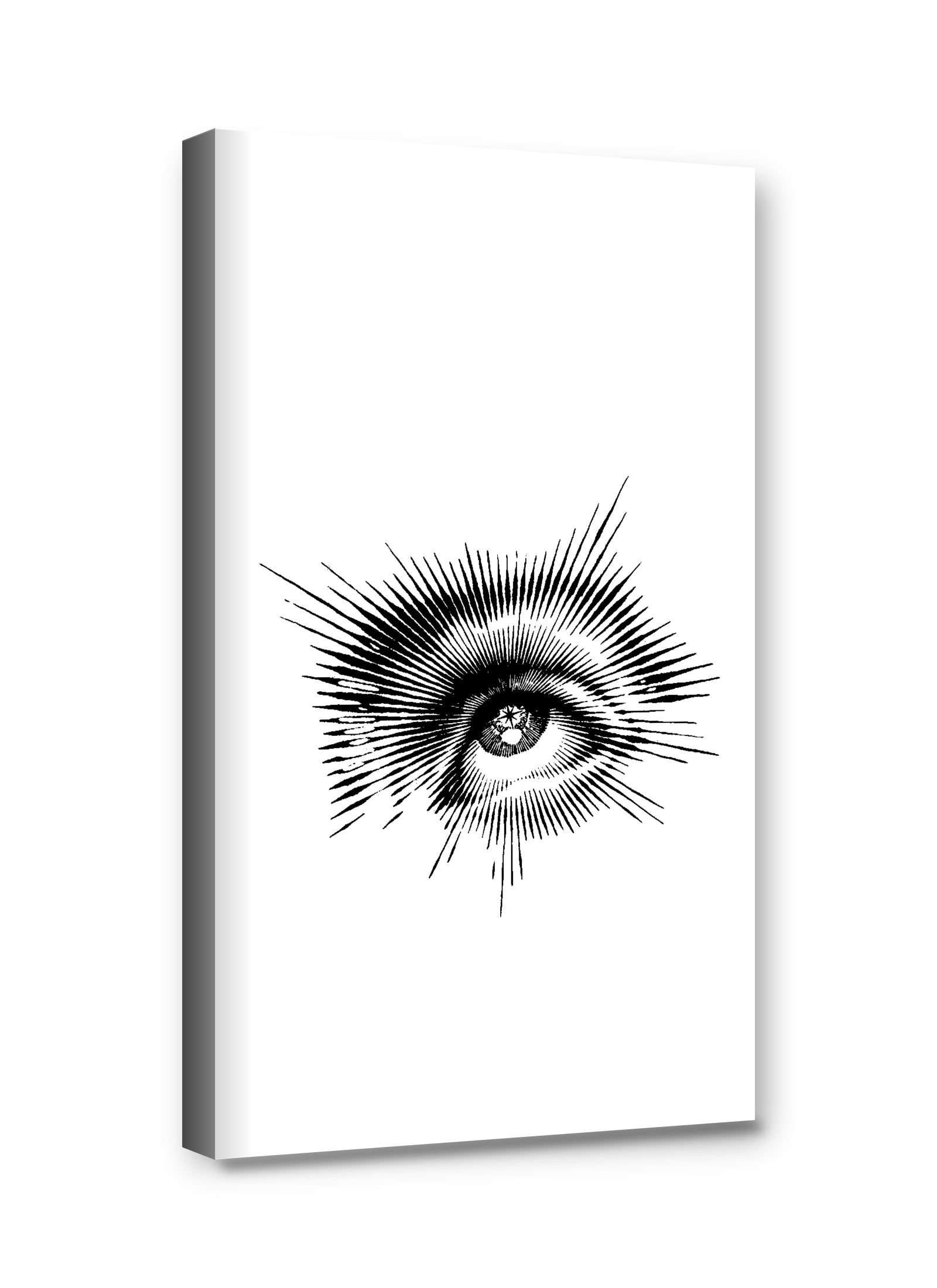 Framed canvas
