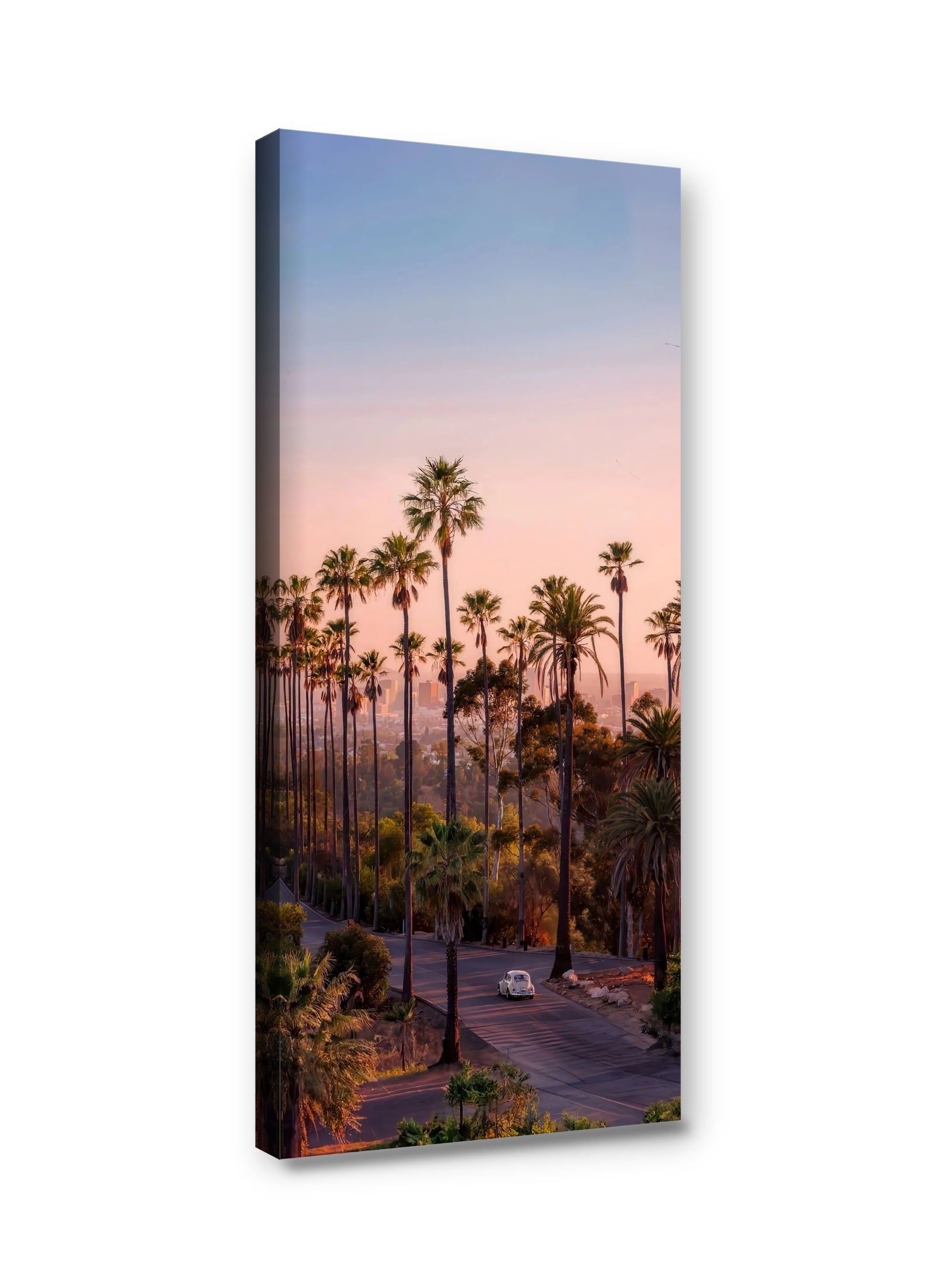 Framed canvas