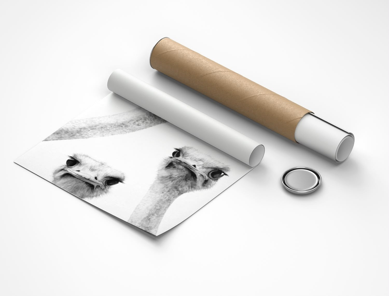 Rolled poster