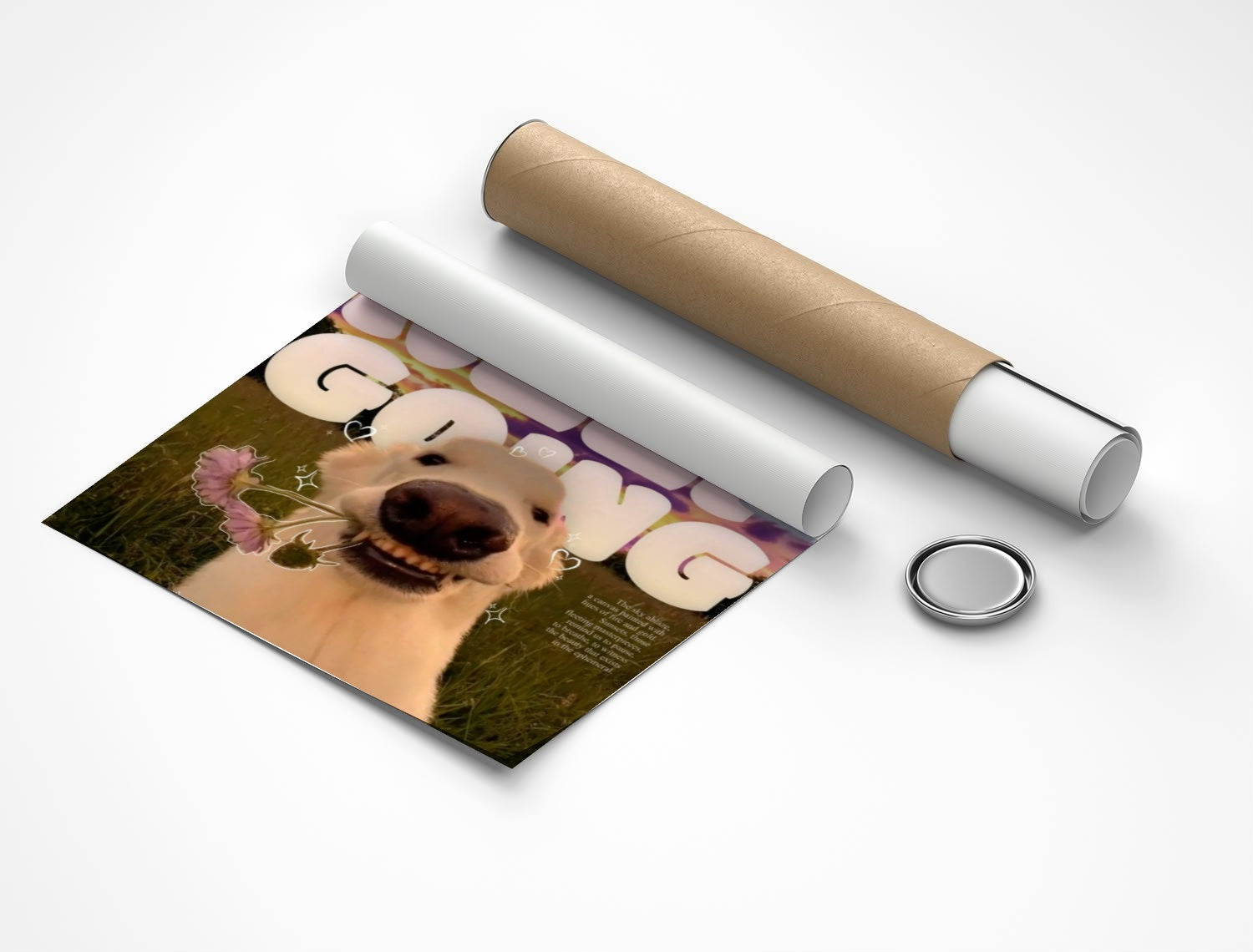 Rolled poster