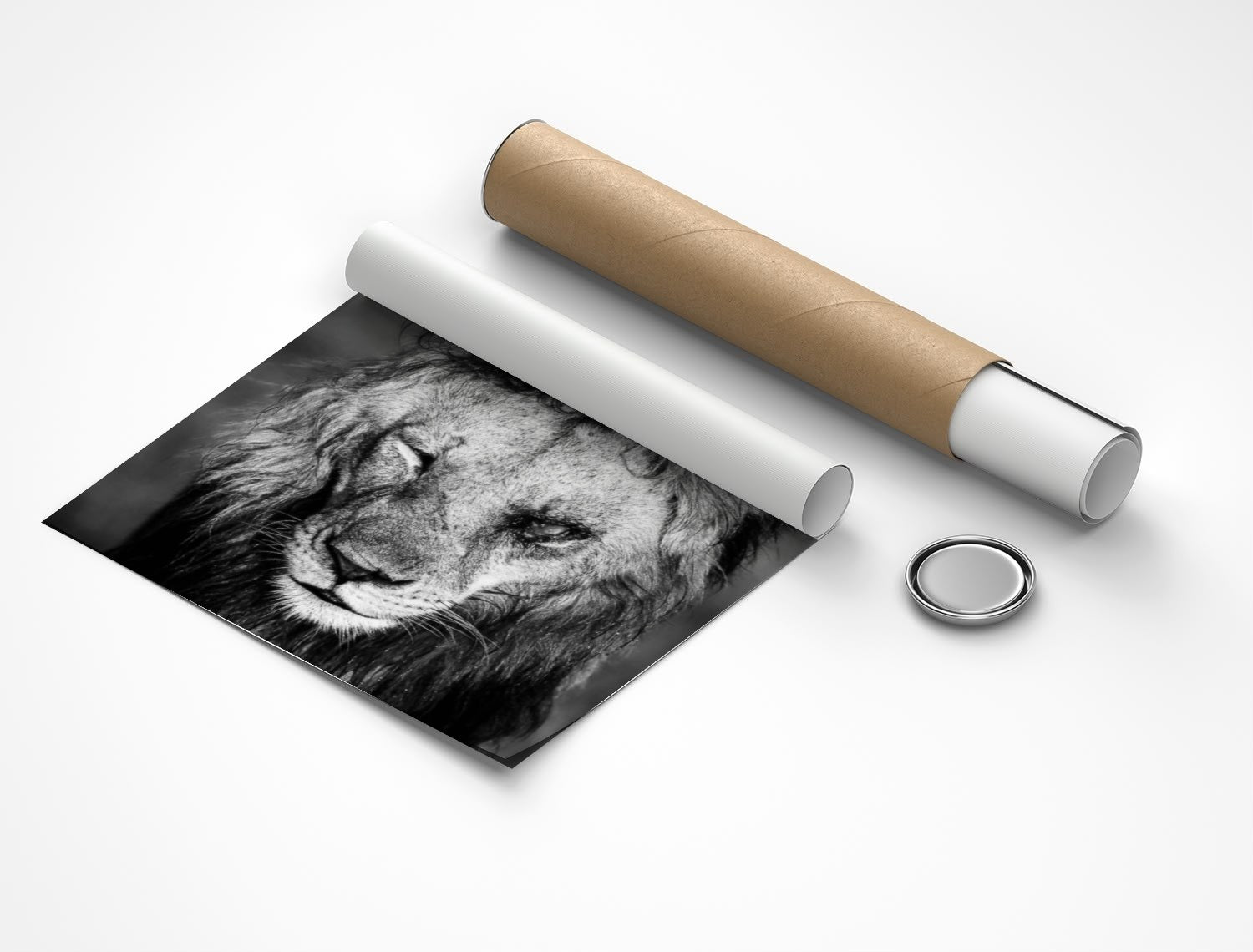 Rolled poster