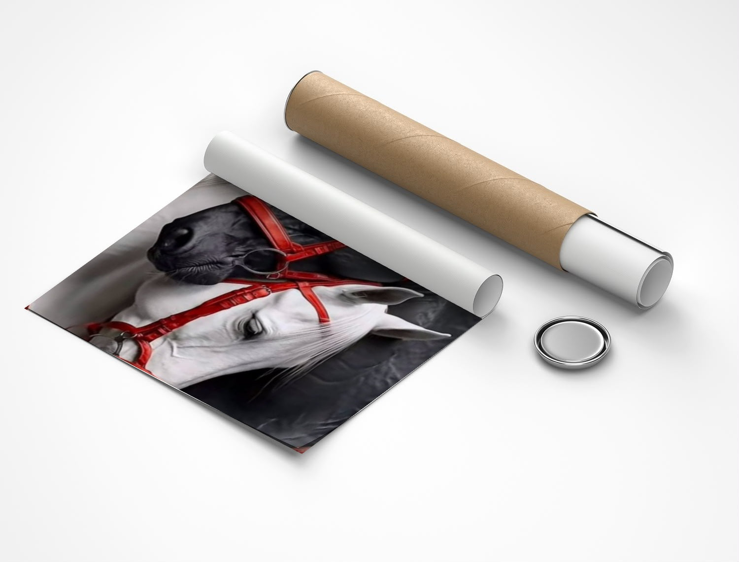 Rolled poster