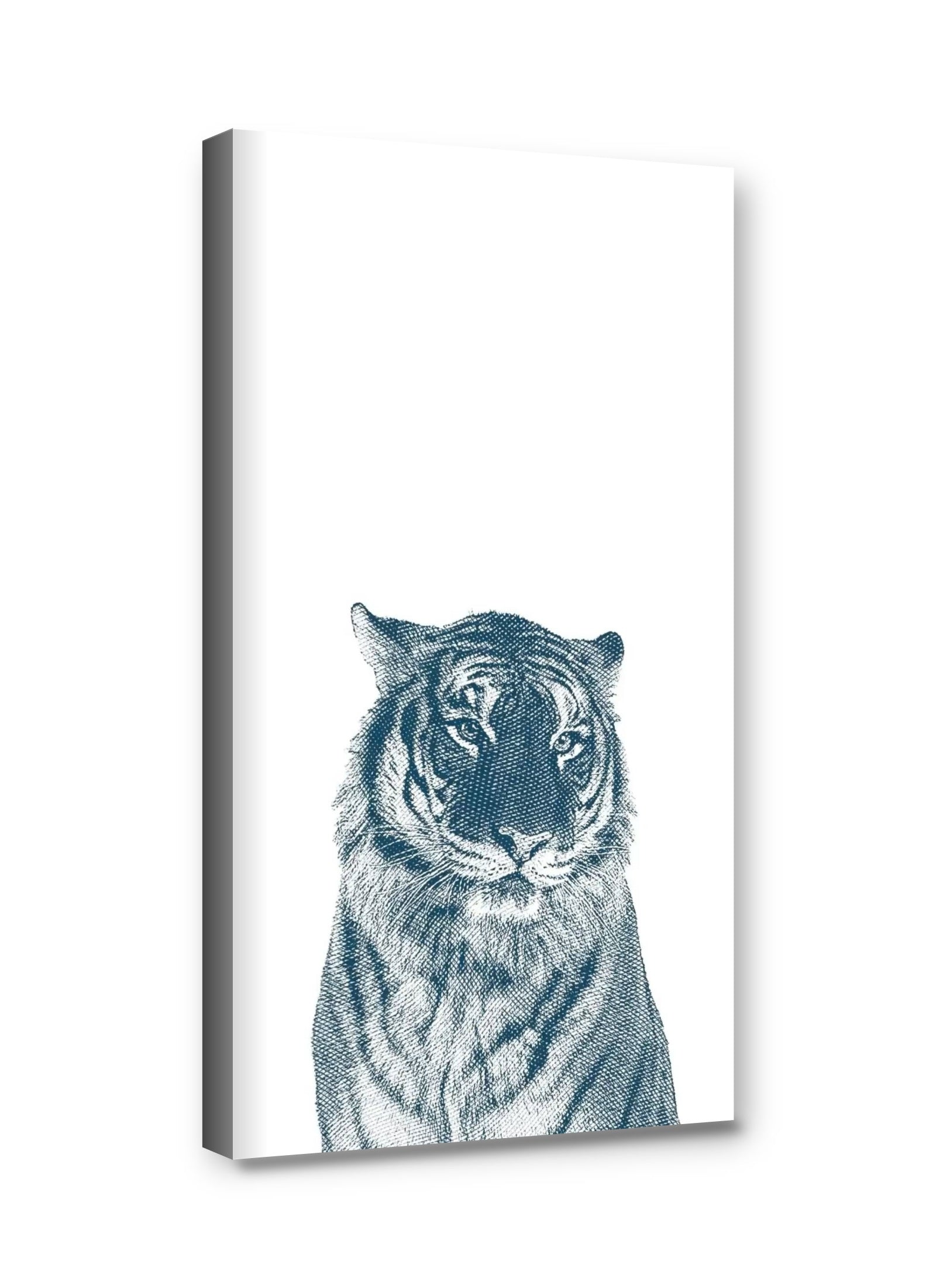 Framed canvas