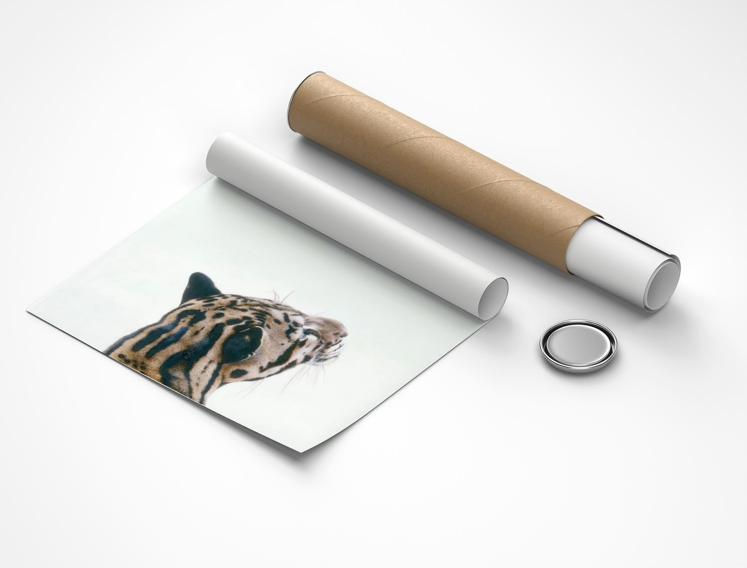 Rolled poster
