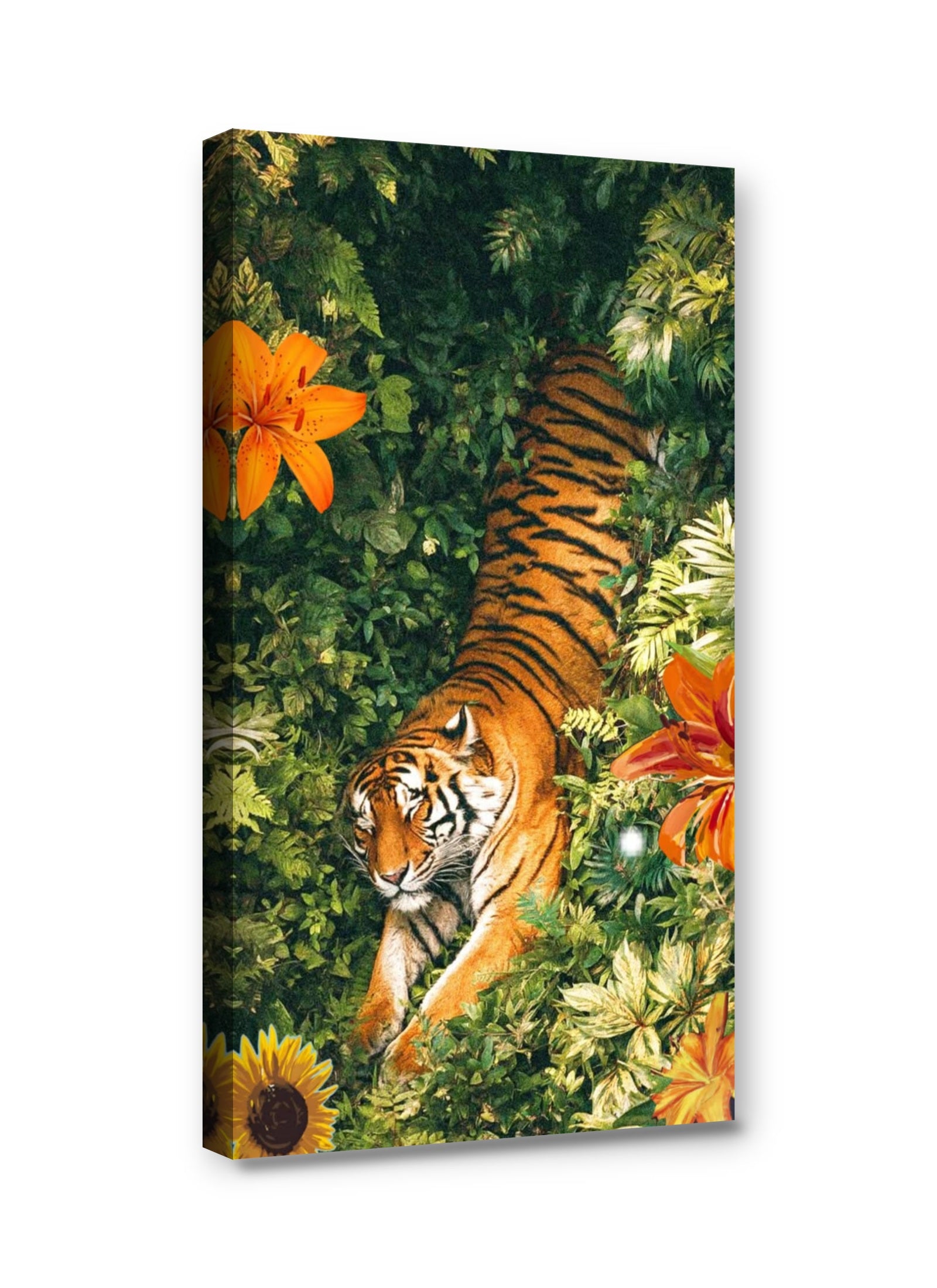 Framed canvas